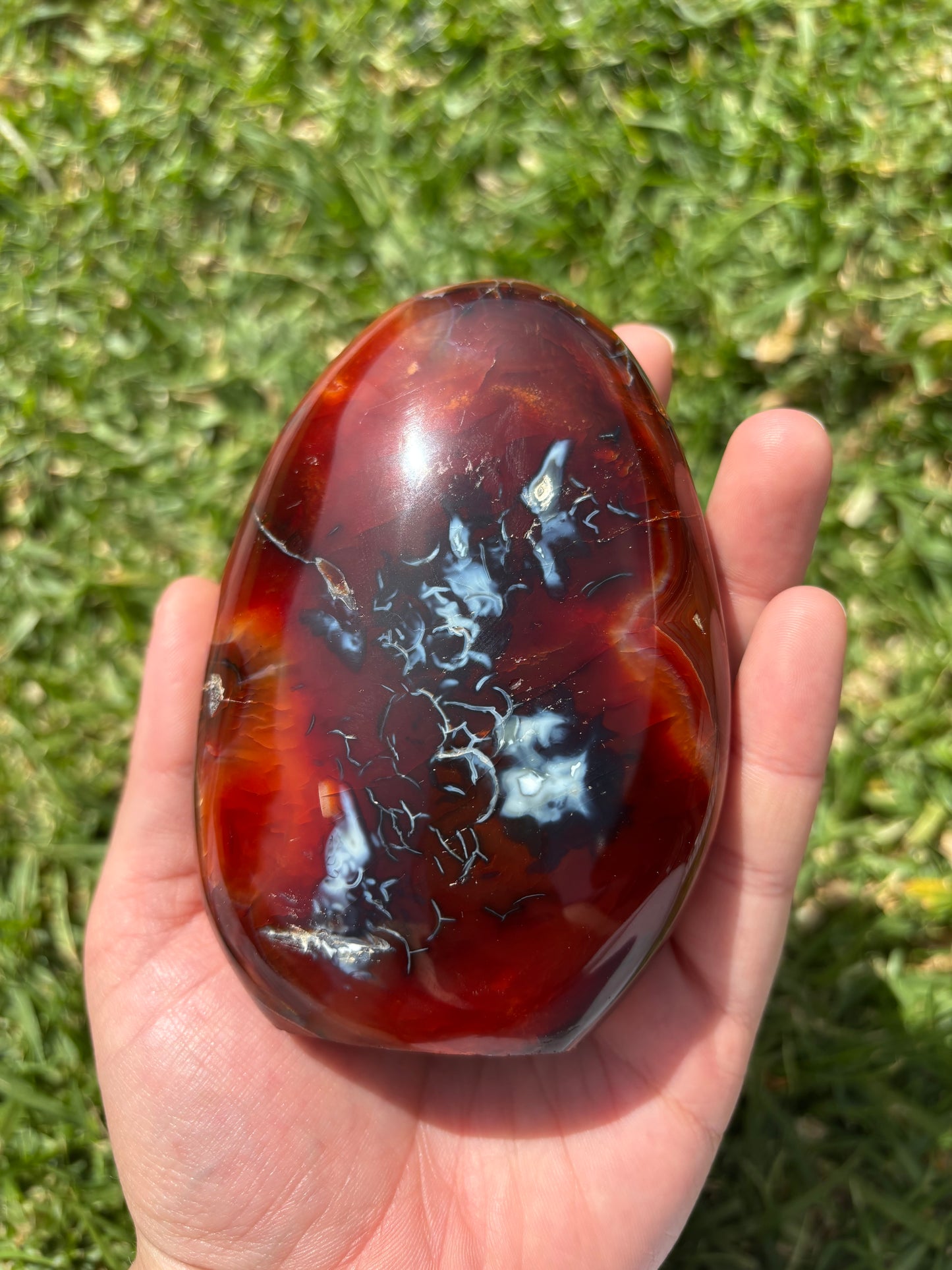 Carnelian Freeform