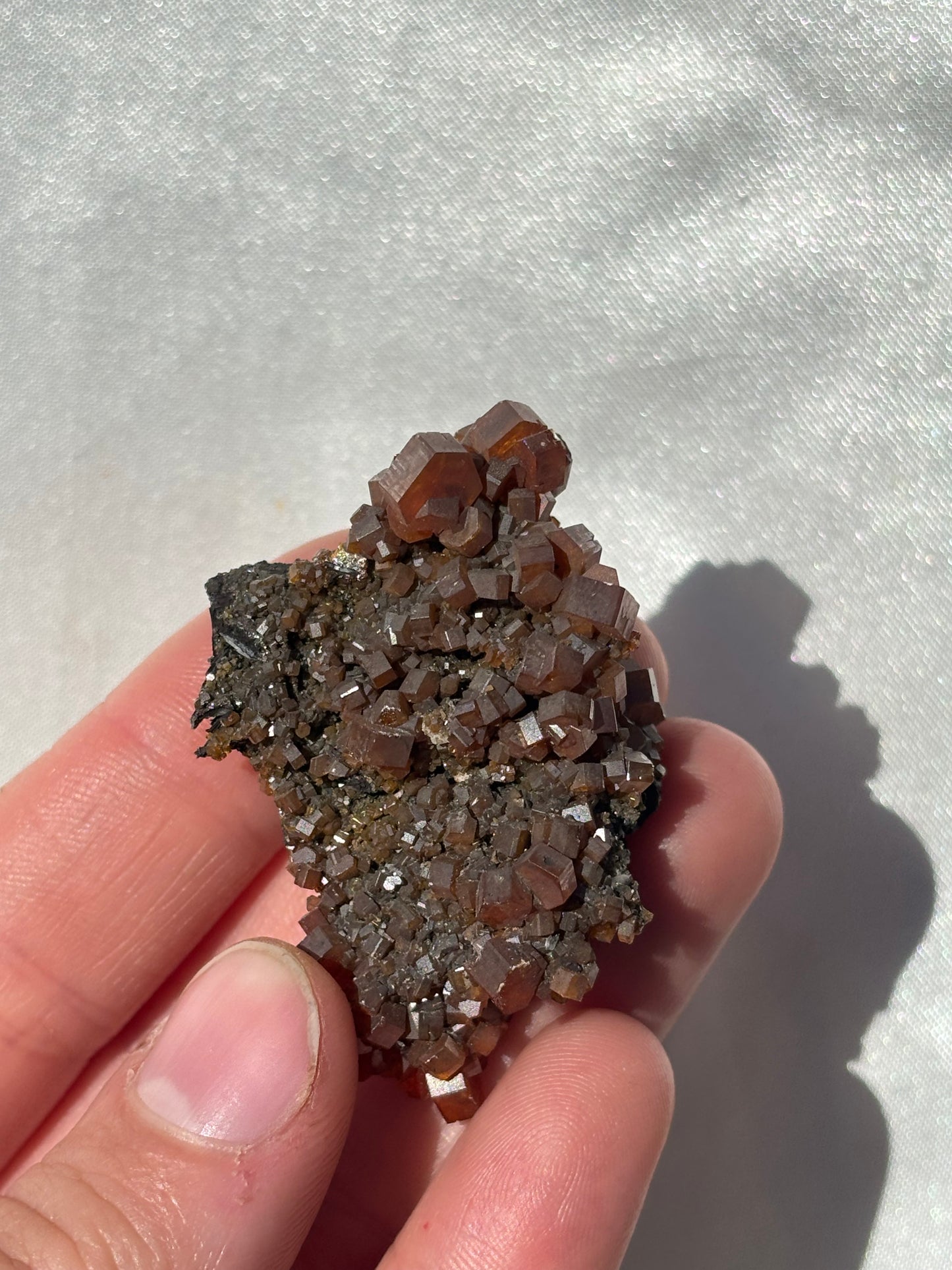 Vanadinite On Black Barite Cluster