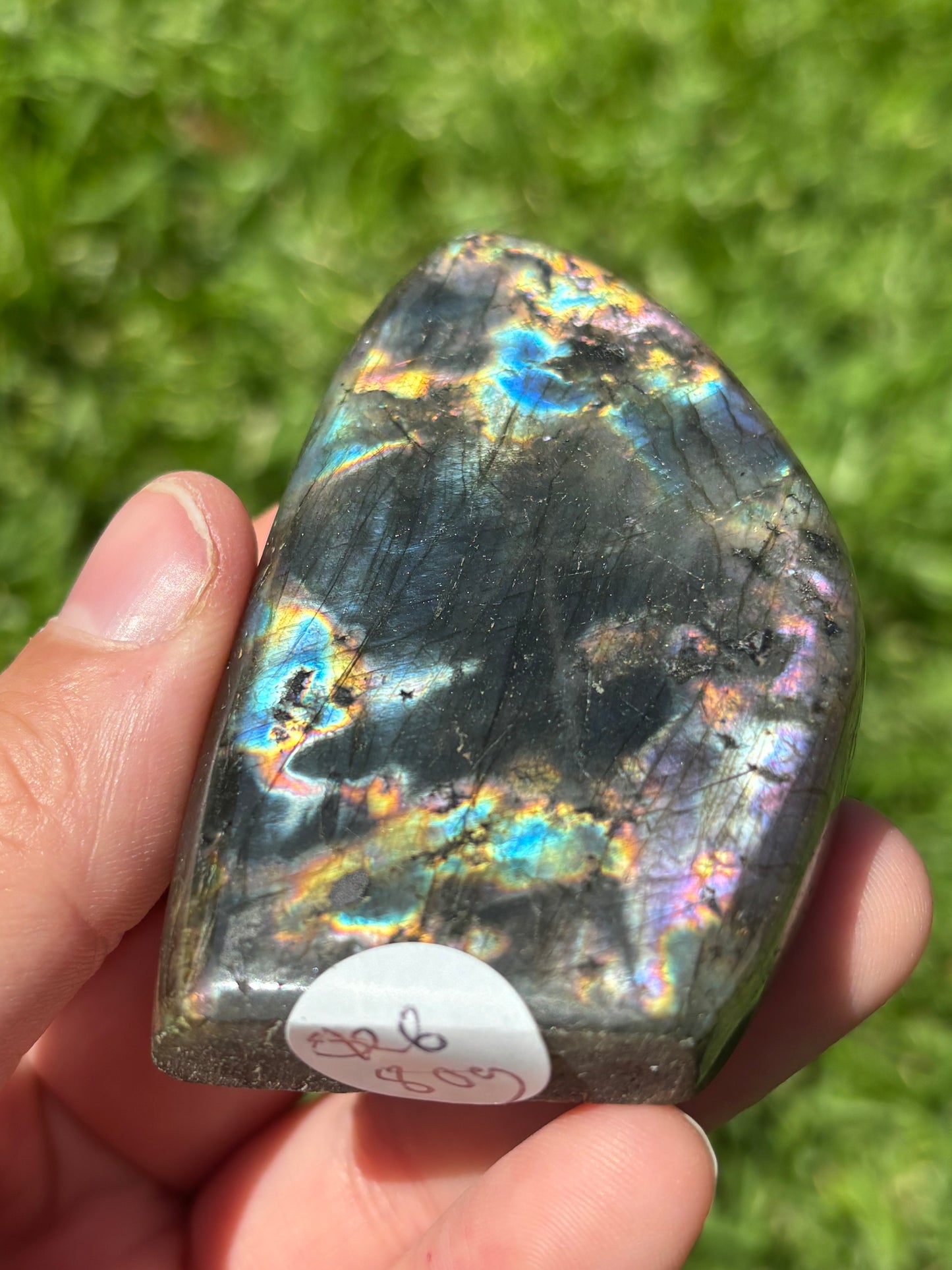 Spectrolite Labradorite Freeform