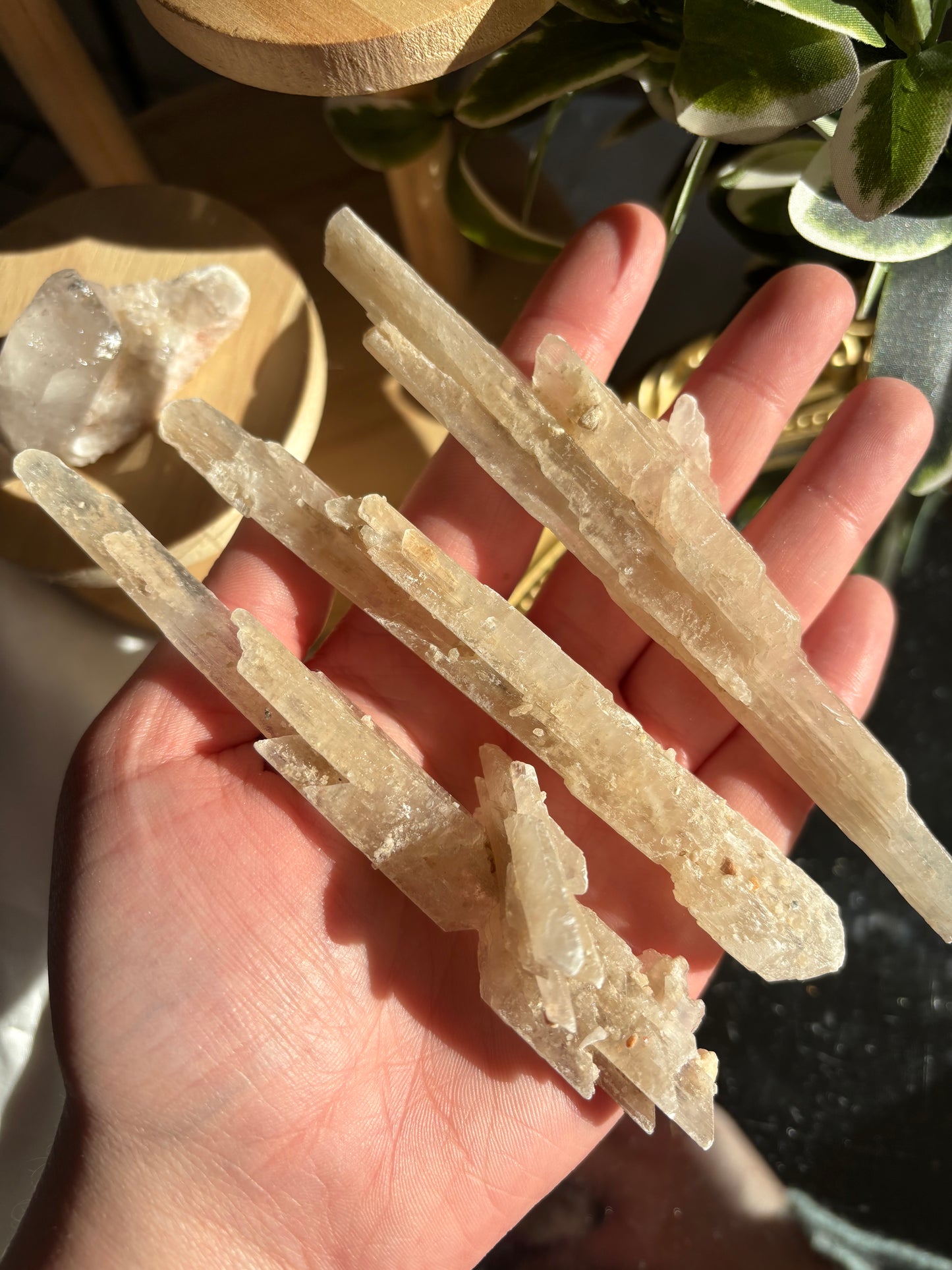 Gypsum Specimen Pieces