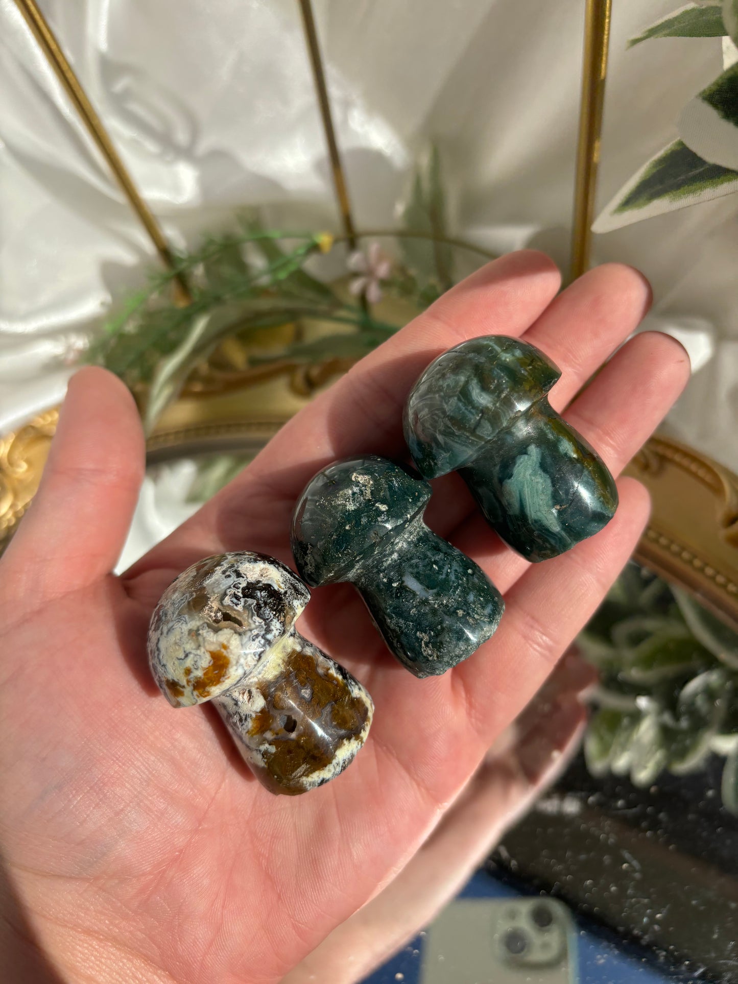 Ocean Jasper Mushrooms