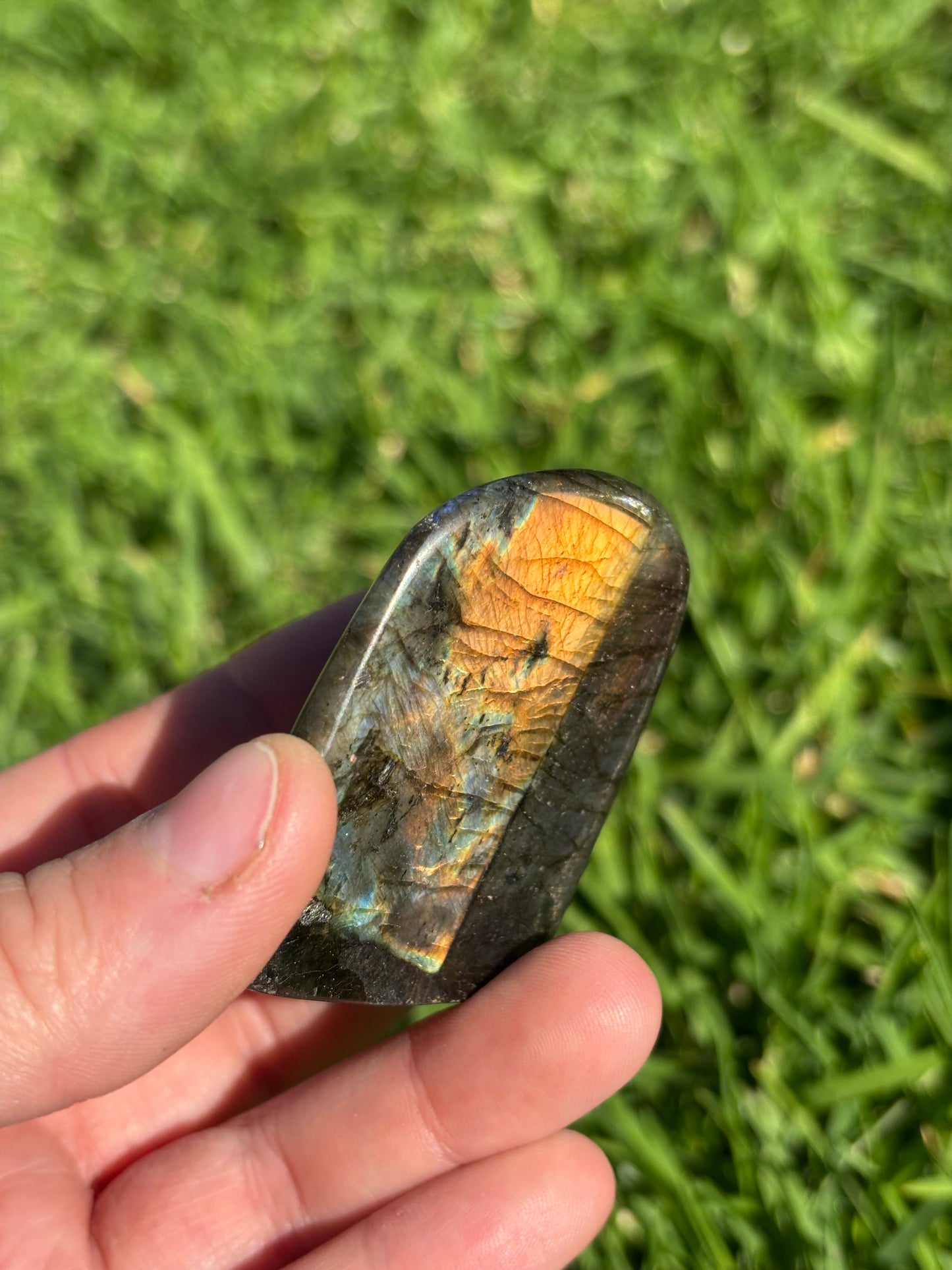 Spectrolite Labradorite Freeform