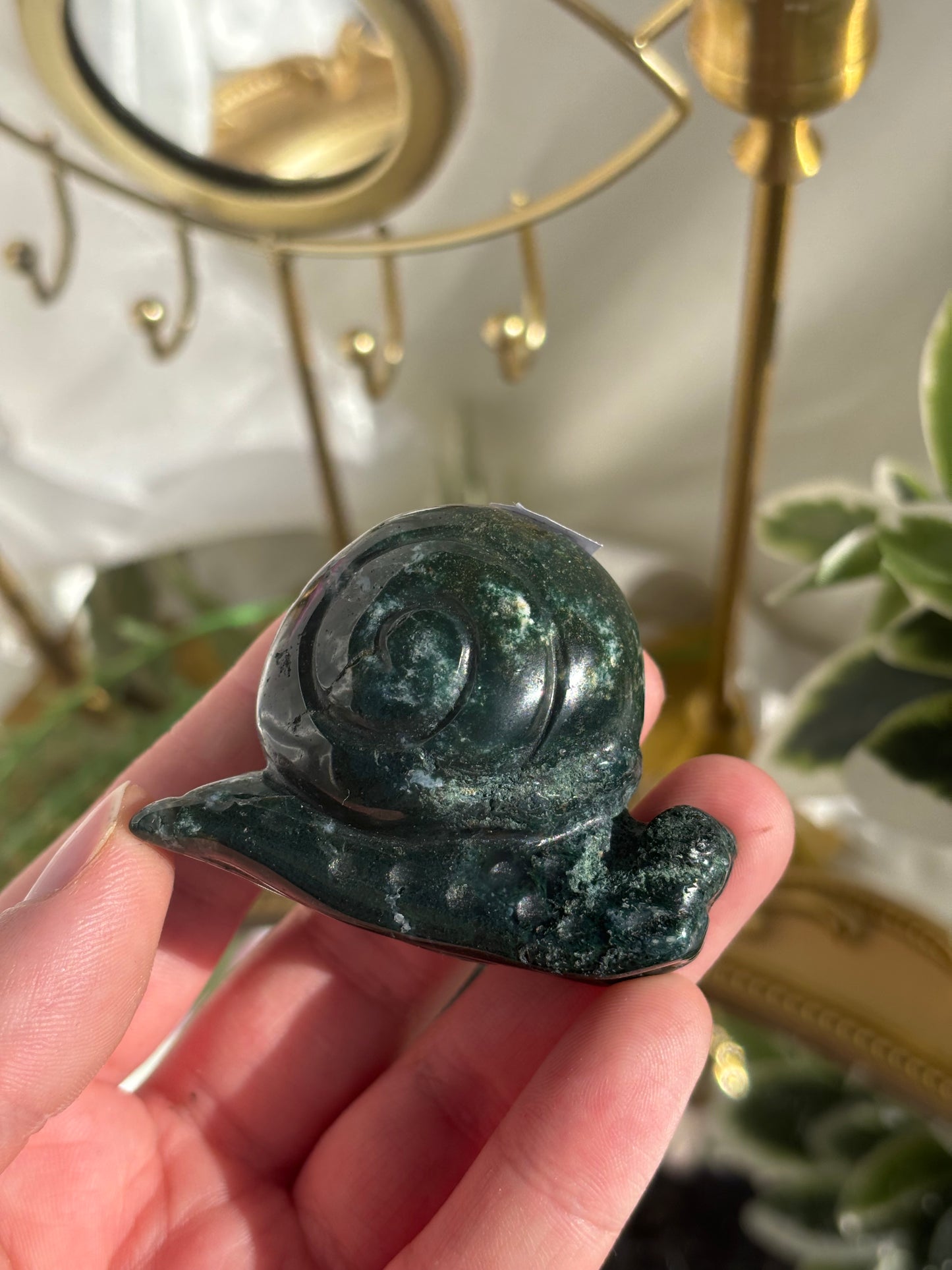 Moss Agate Snail