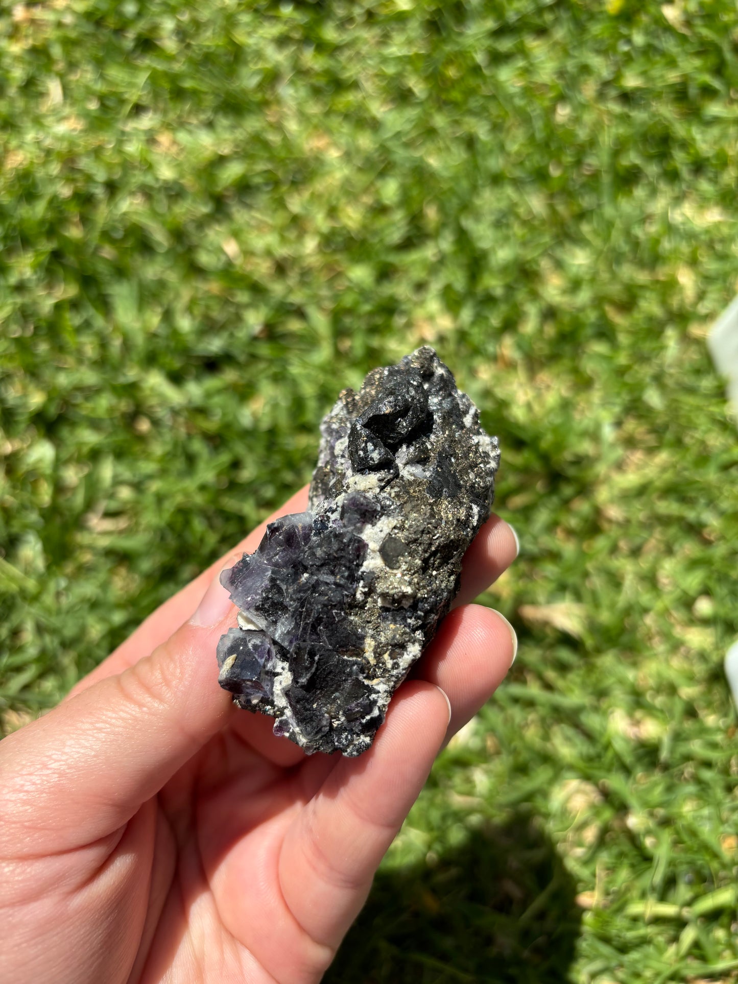 Fluorite And Pyrite Specimen