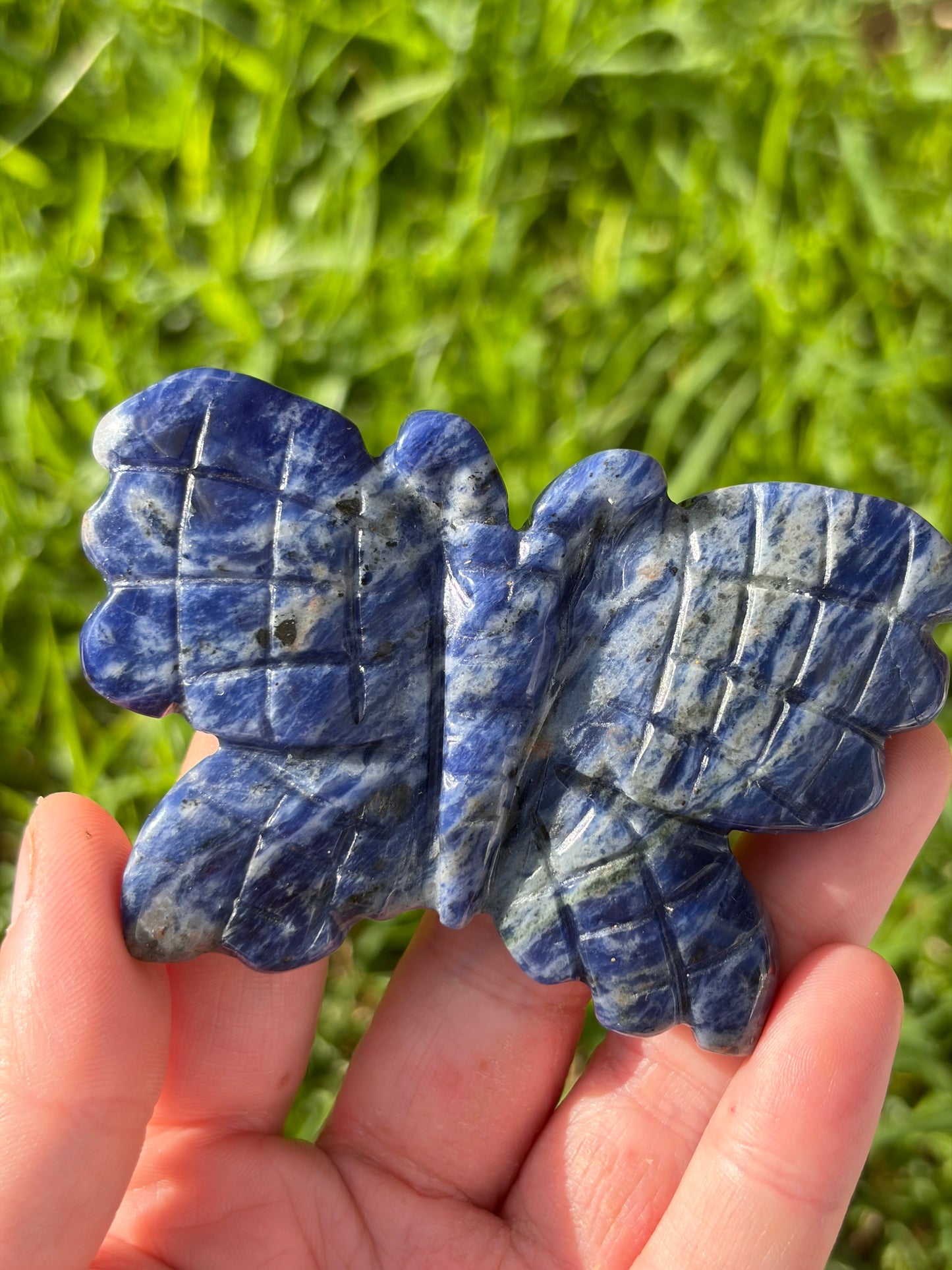 Sodalite Butterfly Carving