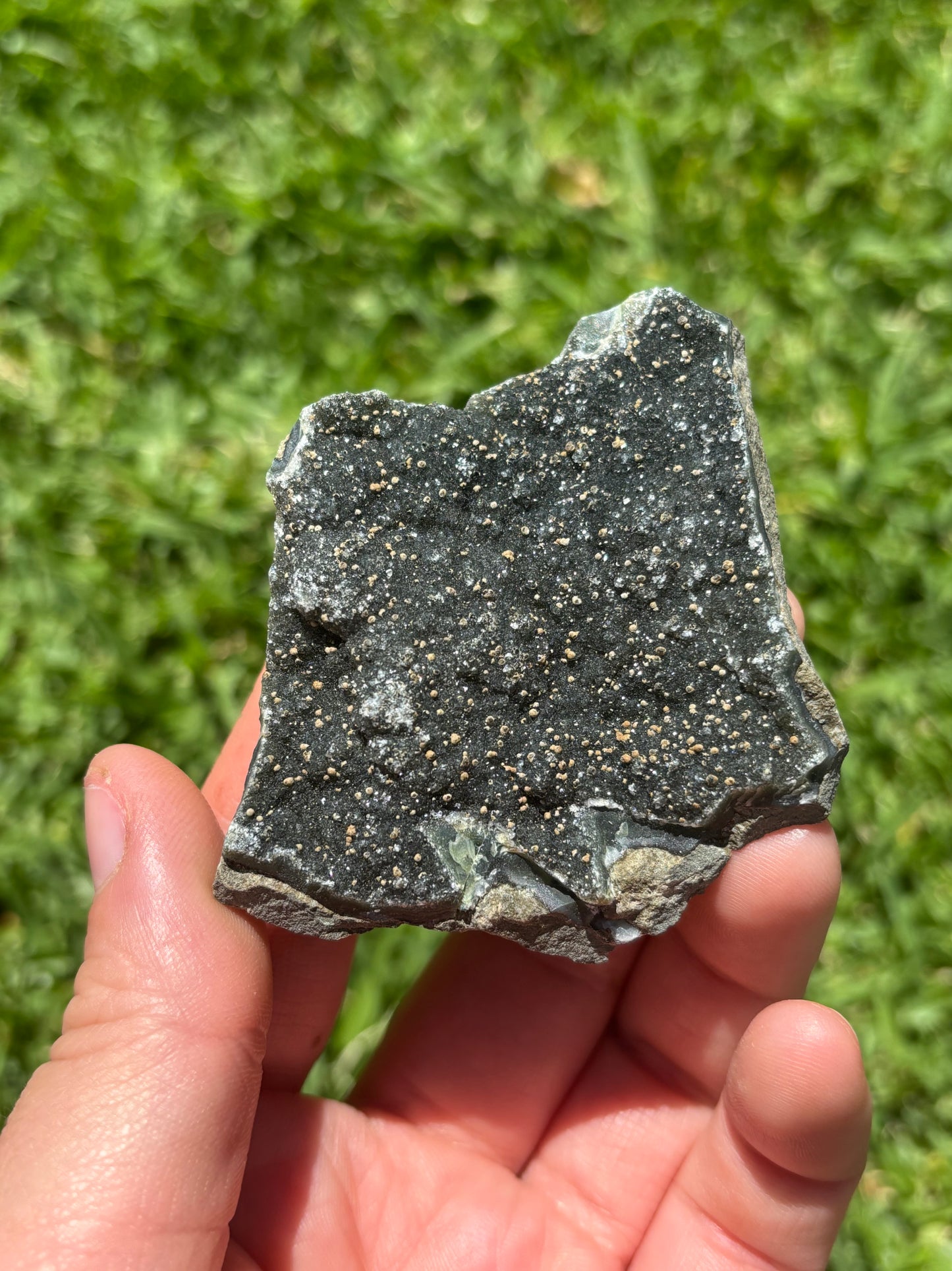 Black Amethyst Cluster