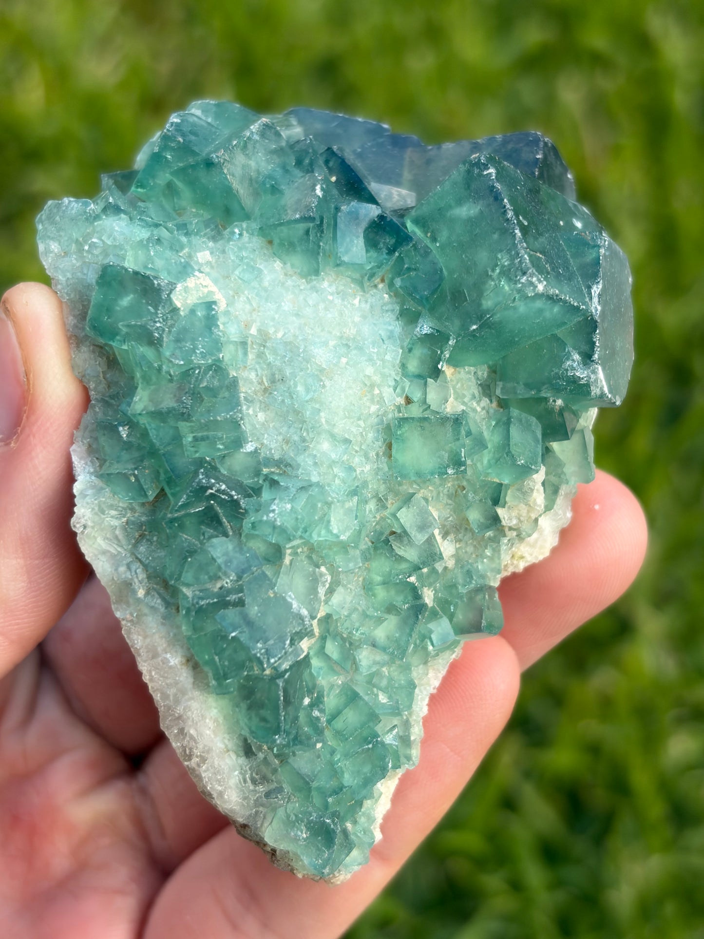 Green Cubic Fluorite Cluster
