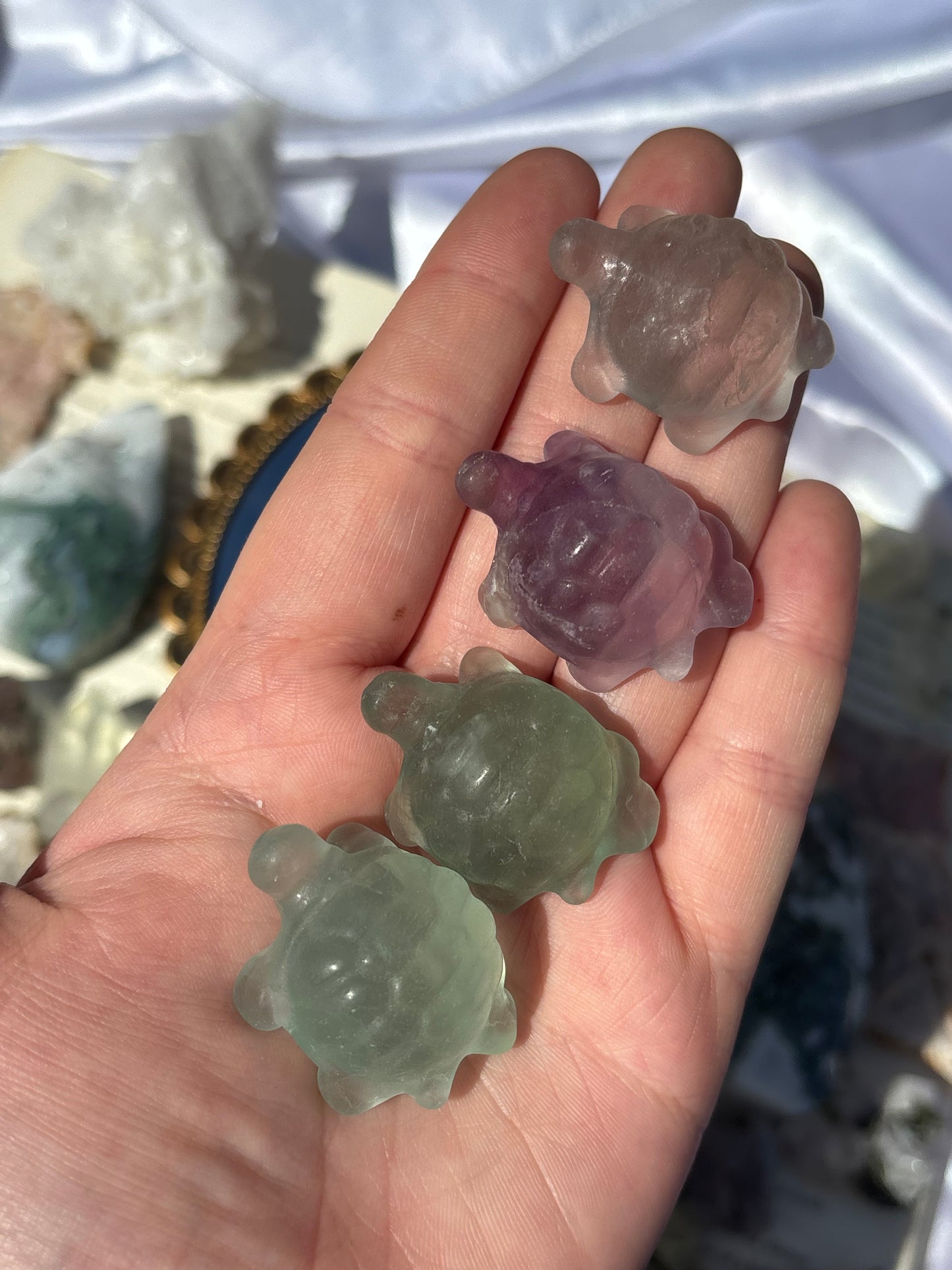 Fluorite Turtles
