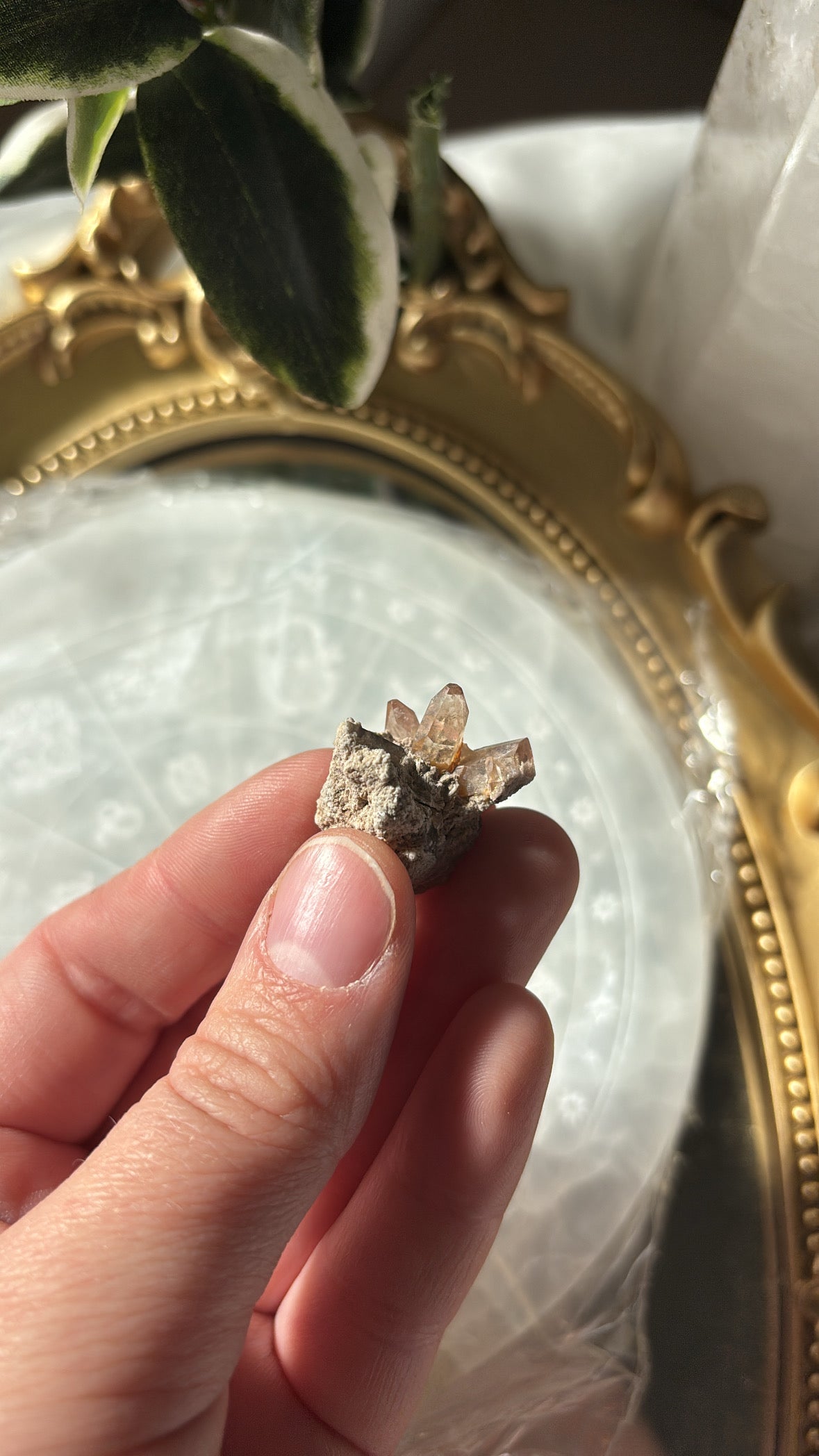 Imperial Topaz From Mexico
