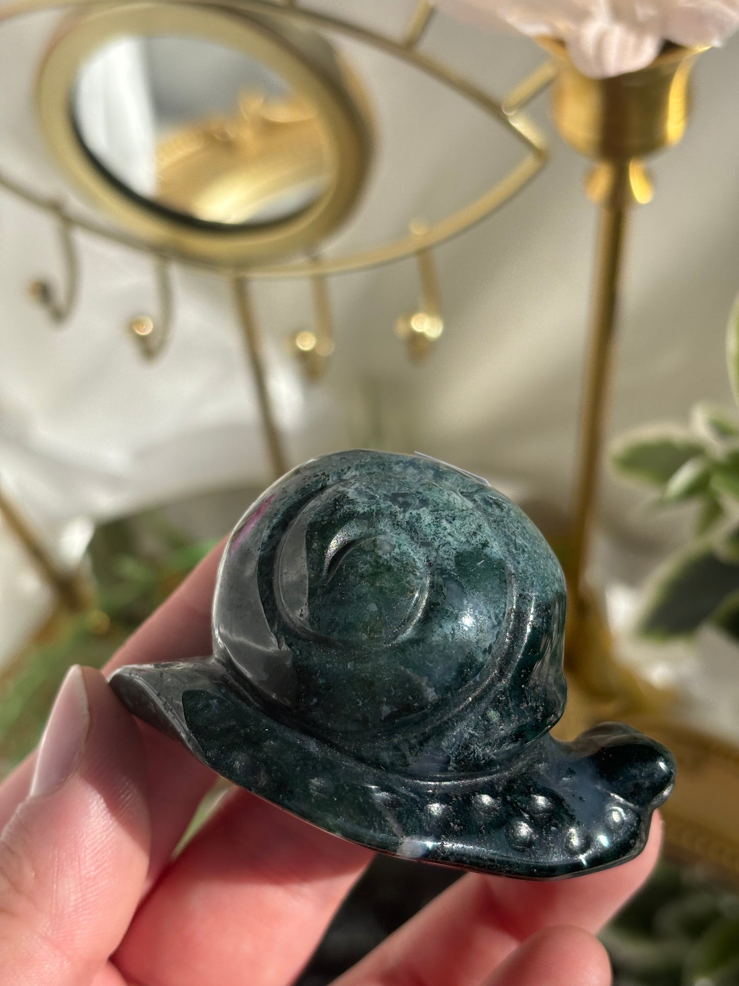 Moss Agate Snail