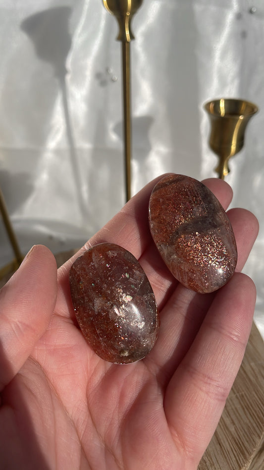 High Quality Sunstone Palms