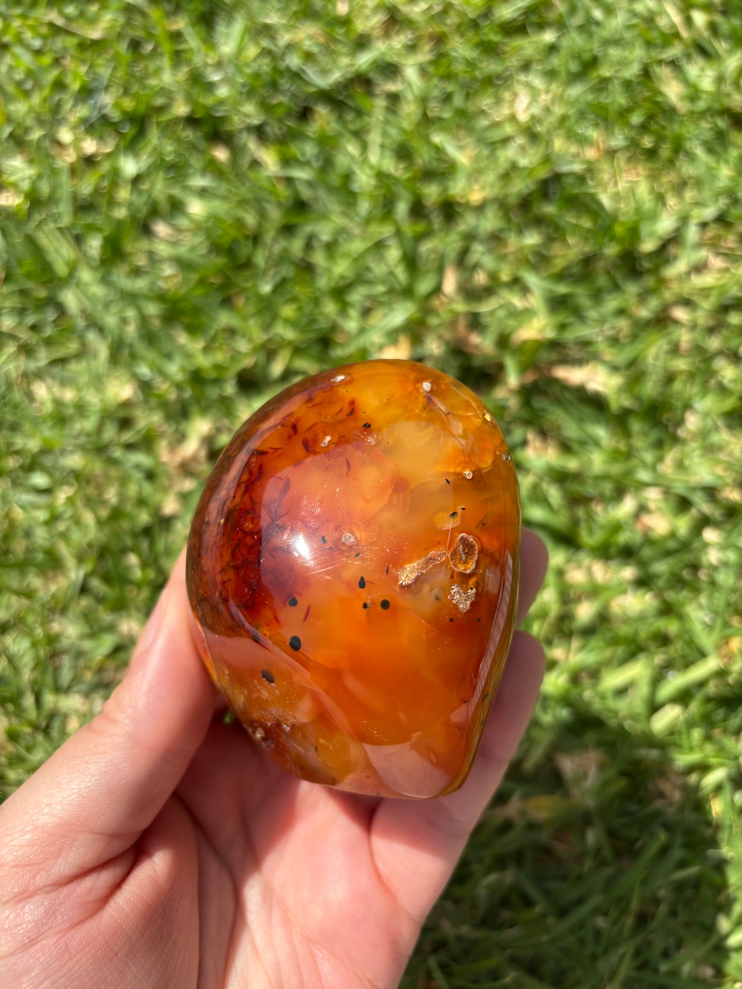 Carnelian Freeform