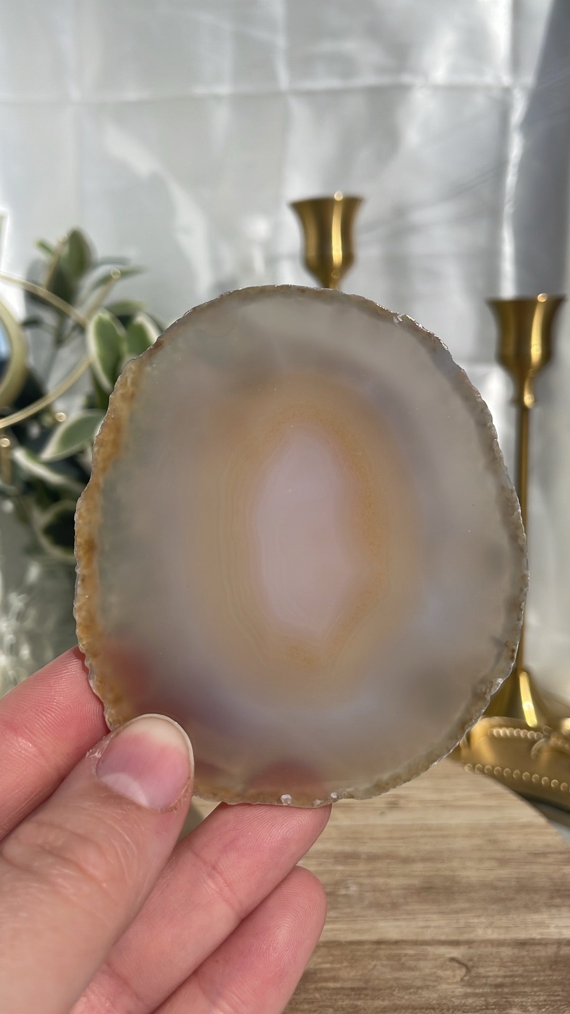 Agate Slice