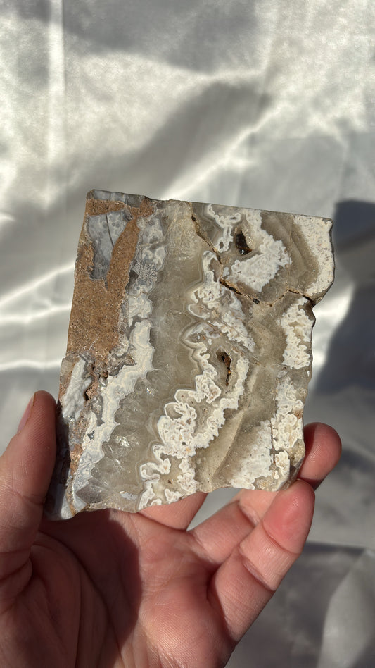 Crazy Lace Agate Slice