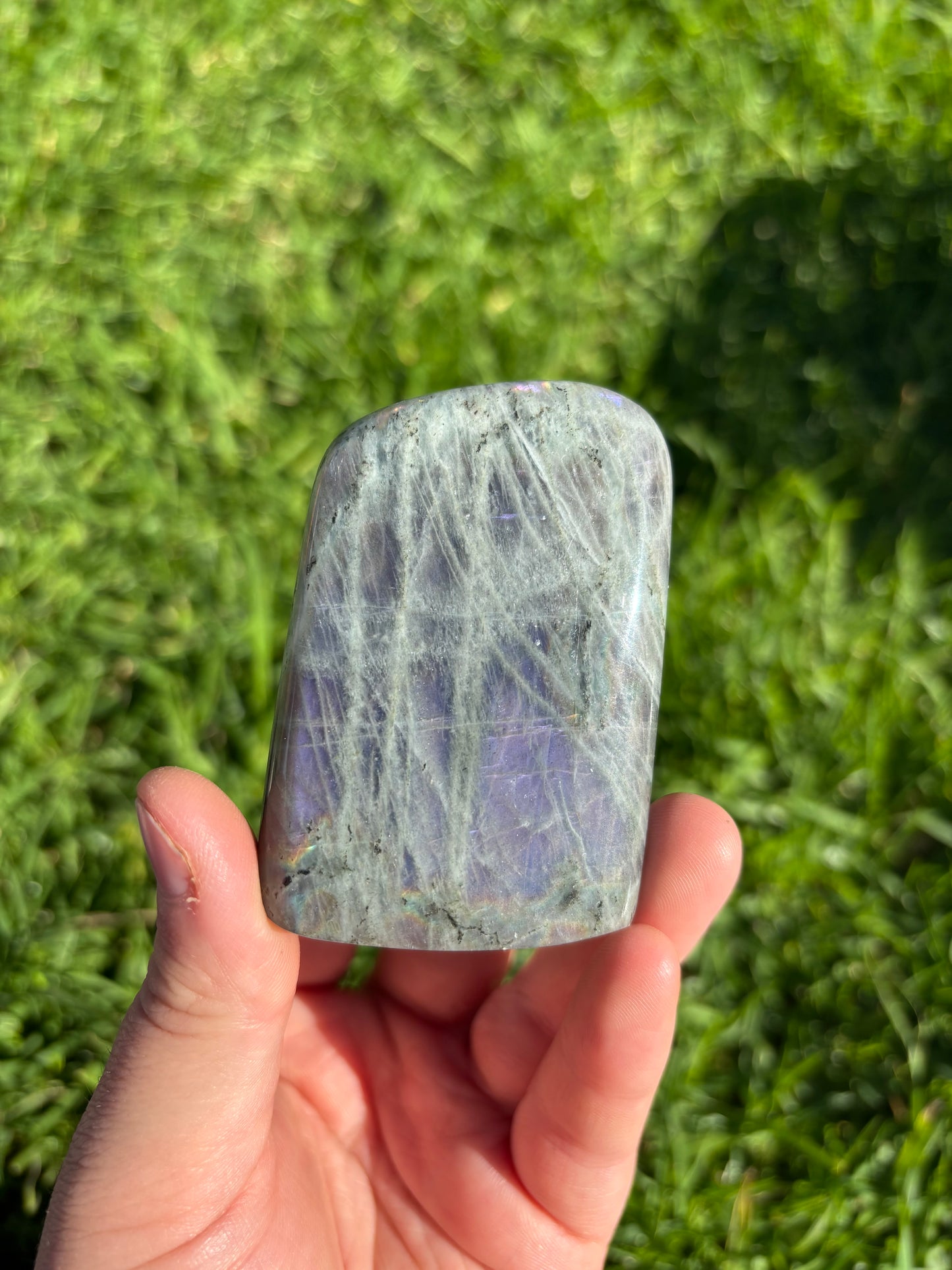 Purple Flash Labradorite Freeform