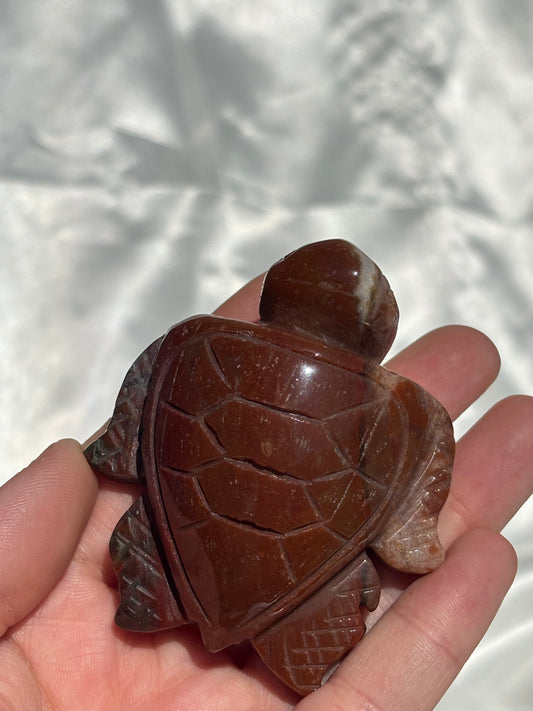 Ocean Jasper Sea Turtle