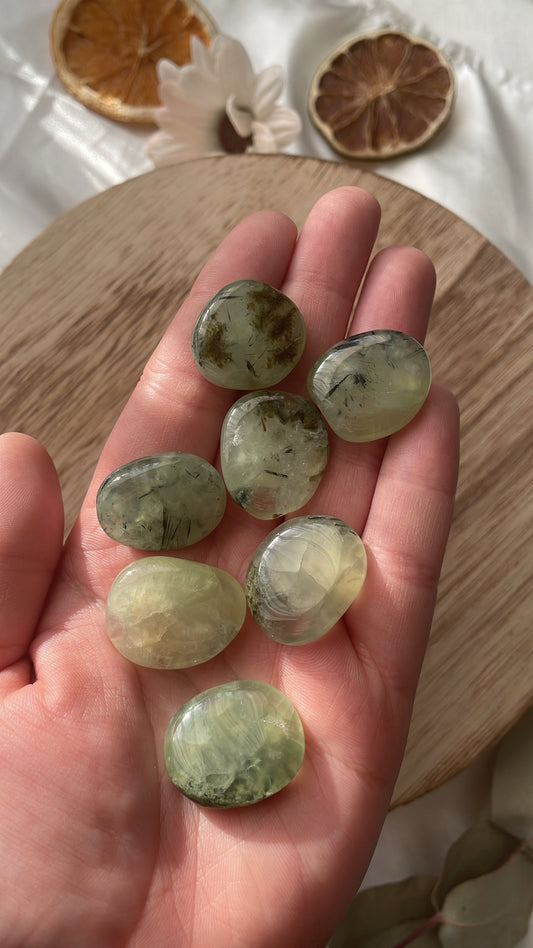 Prehnite Coins