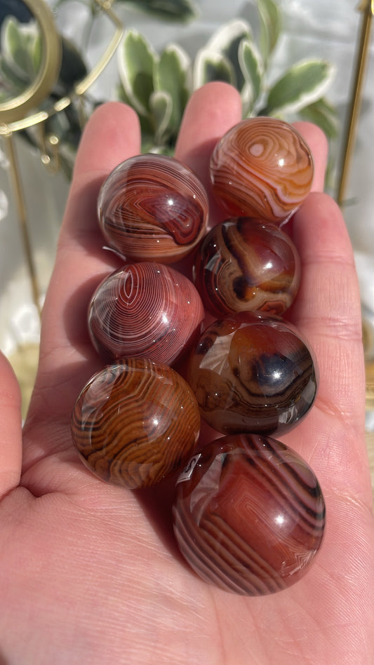 Sardonyx Mini Spheres