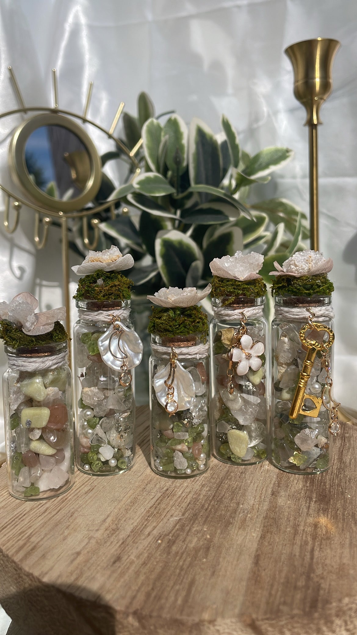 Fairy Flora Jars