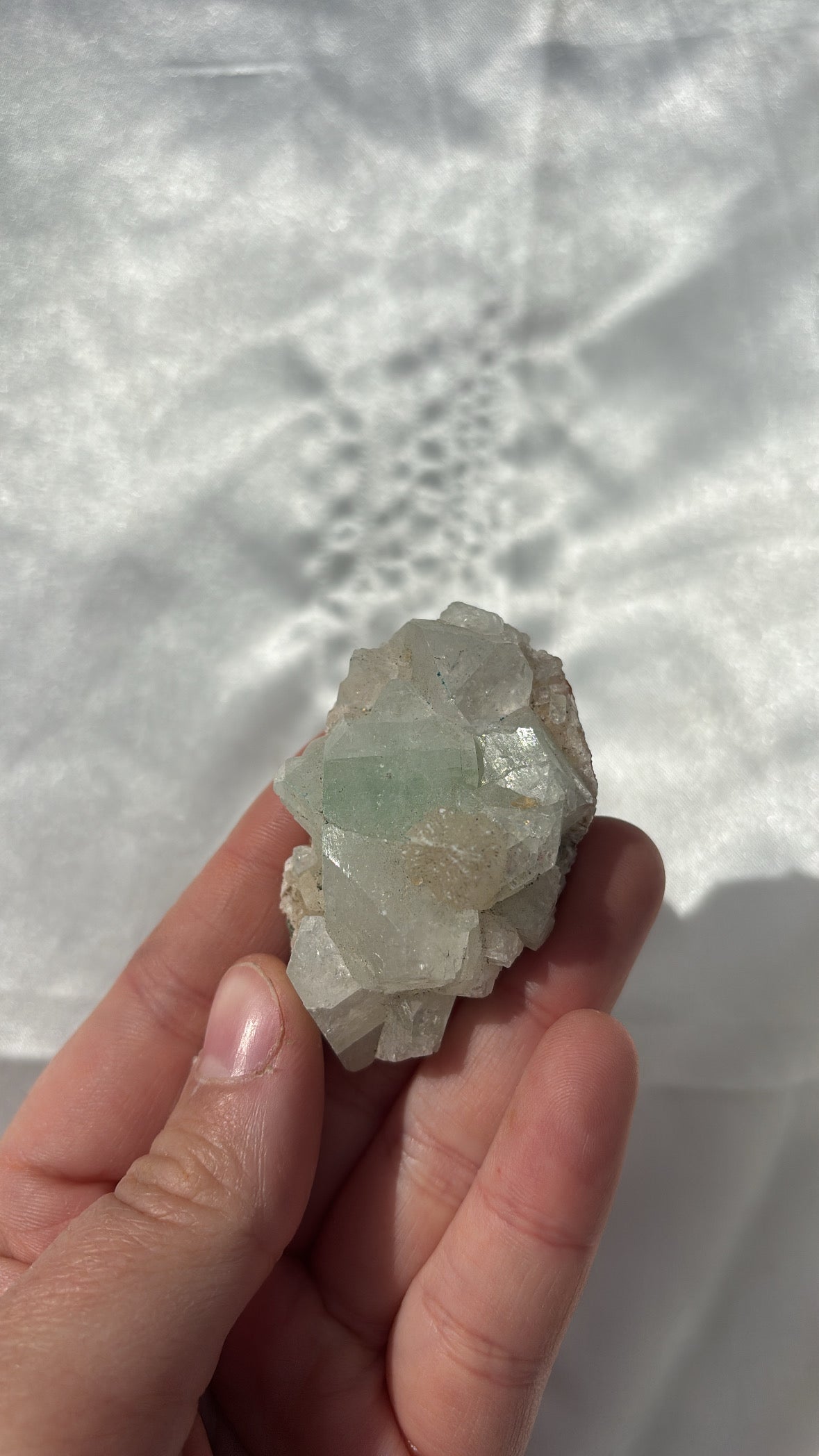 Apophyllite Cluster