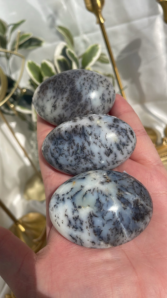 Dendritic Opal Palmstones