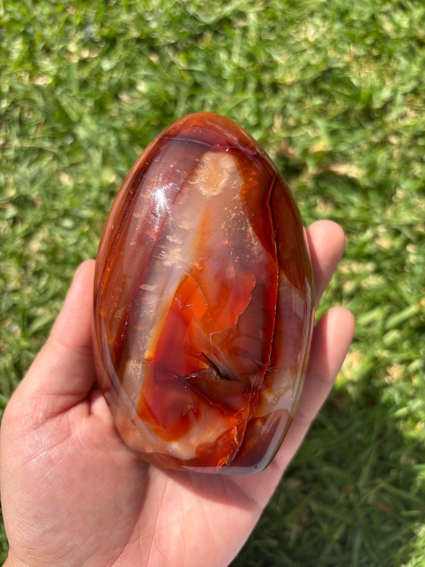Carnelian Freeform