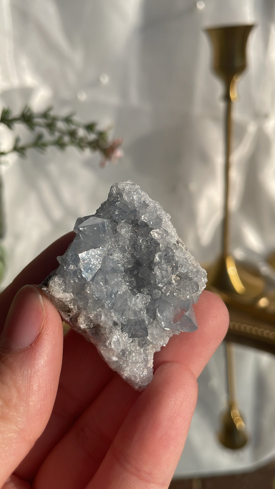 Celestite Cluster