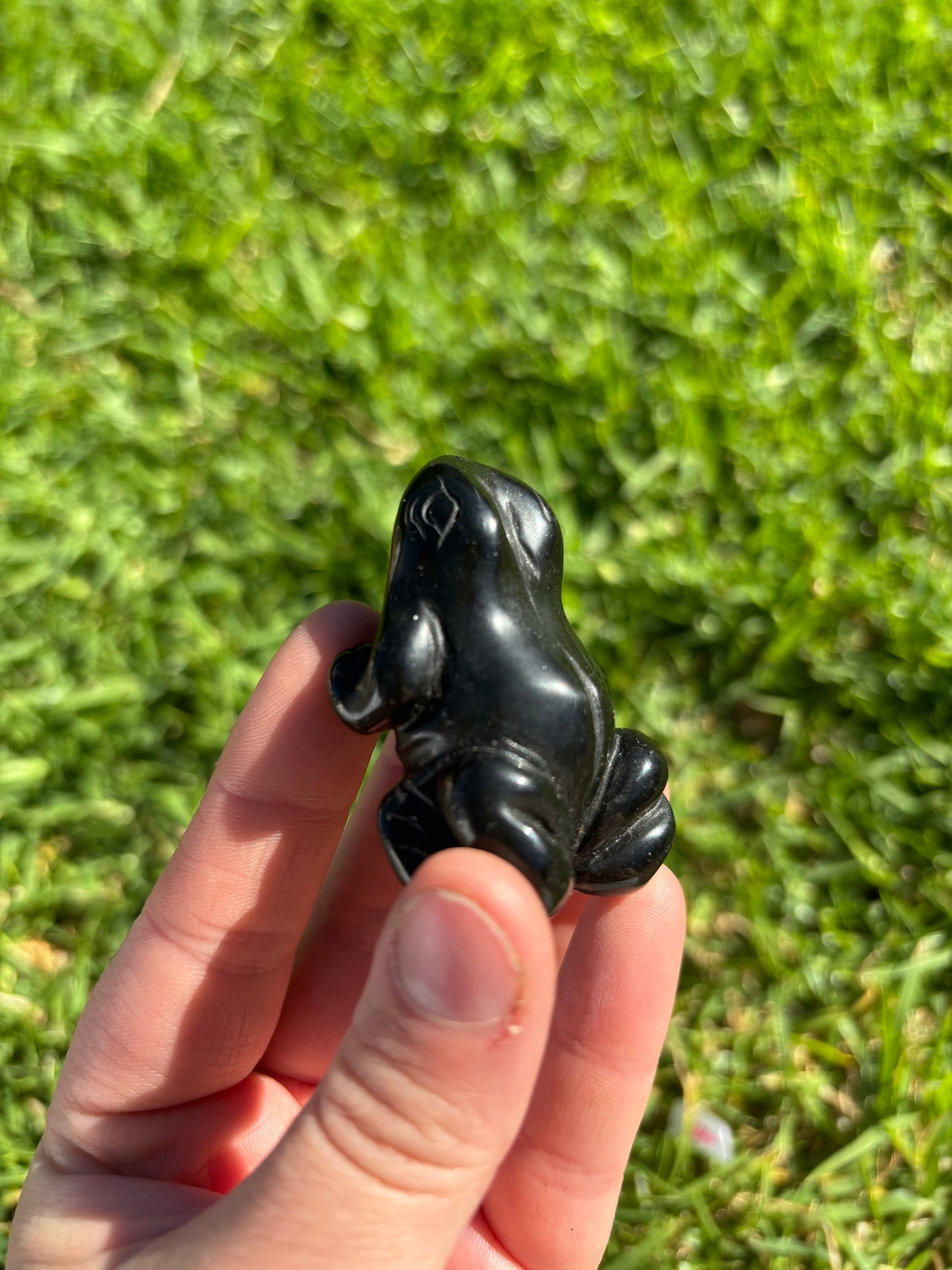 Black Obsidian Frog