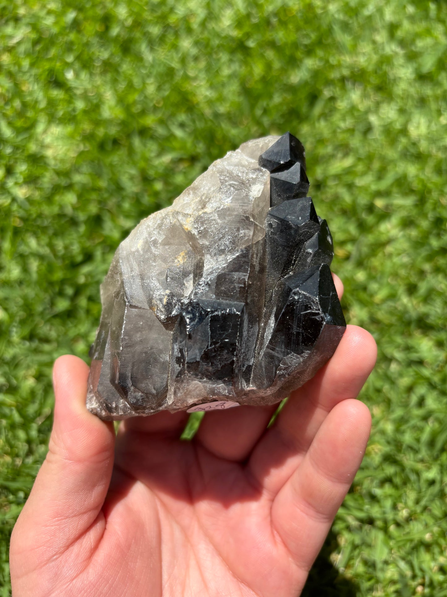 Smokey Quartz Cluster