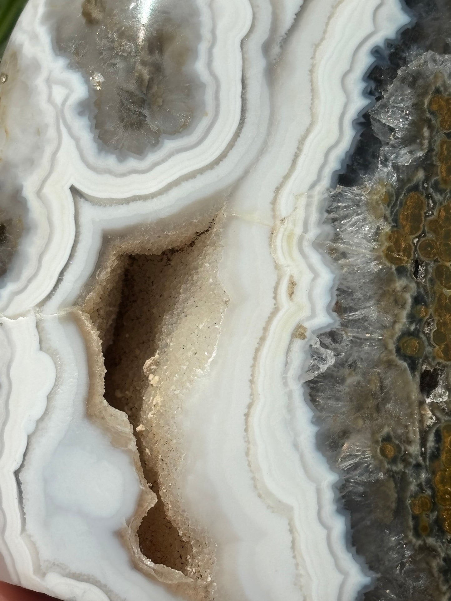 Ocean Jasper Freeform