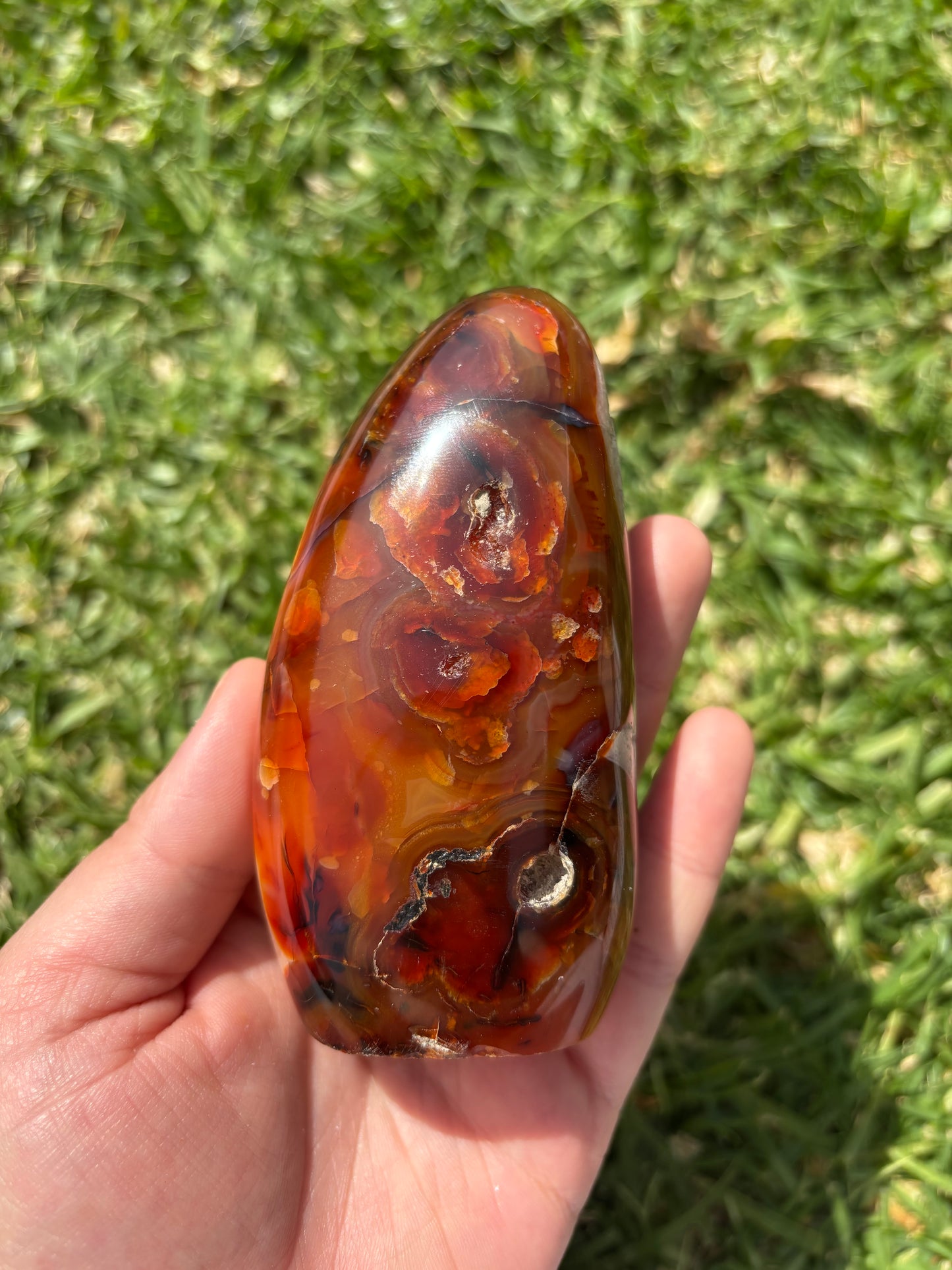 Carnelian Freeform