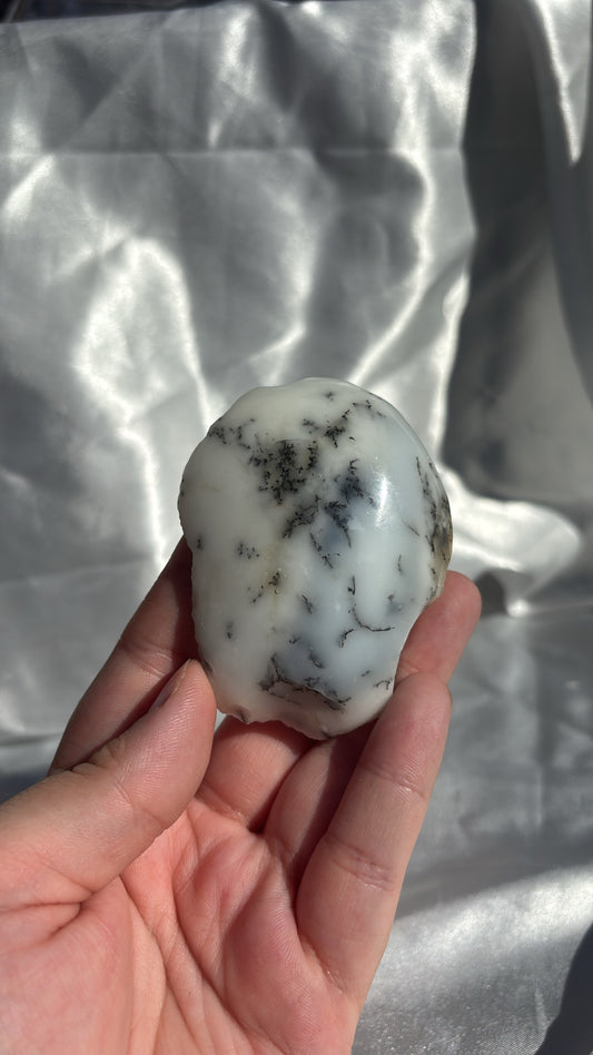 Dendritic Opal Half Polished Raw