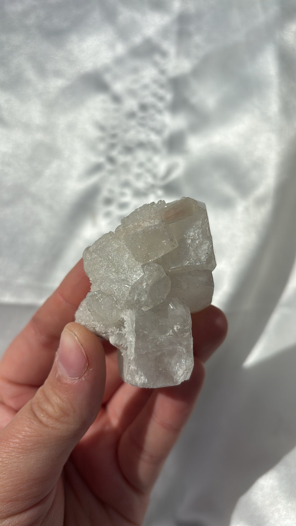 Apophyllite Cluster