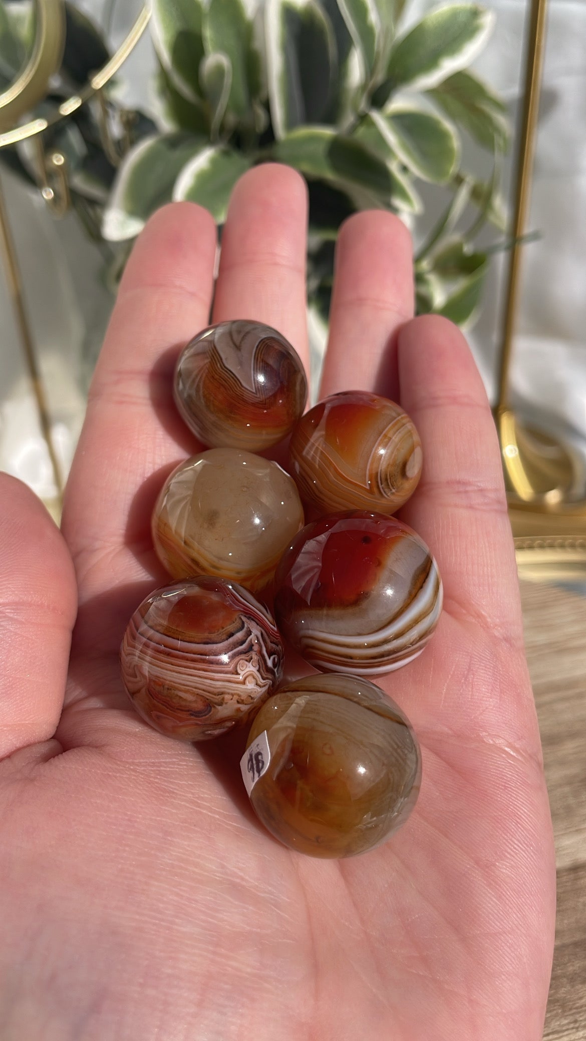 Sardonyx Mini Spheres