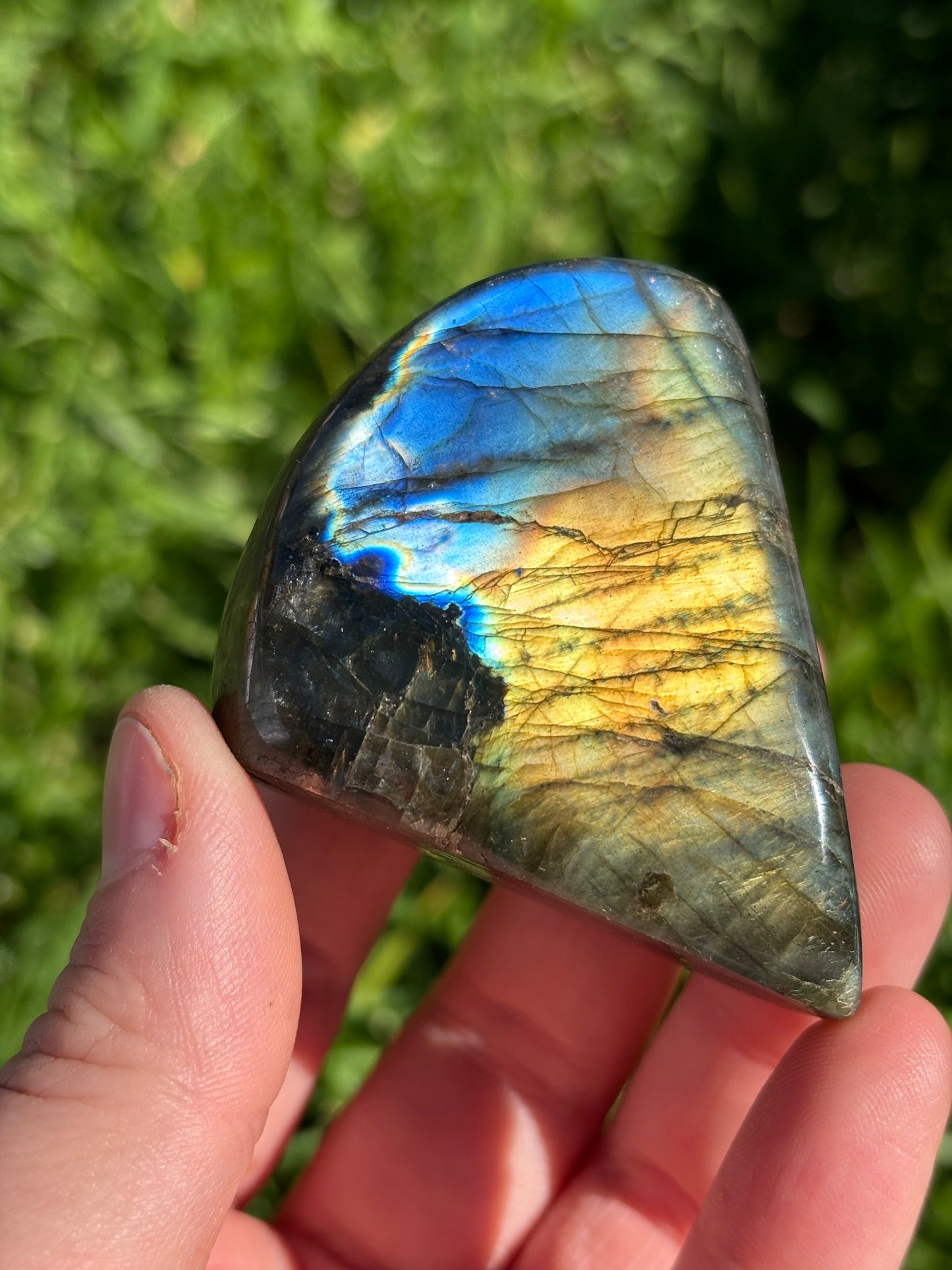 Blue/Yellow Flash Labradorite Freeform