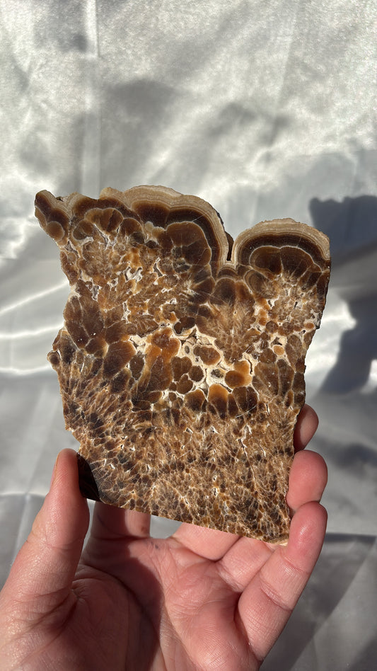 Chocolate Calcite Slice