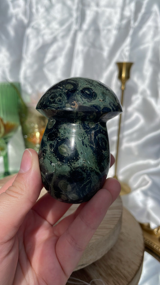 Kambaba Jasper Mushroom