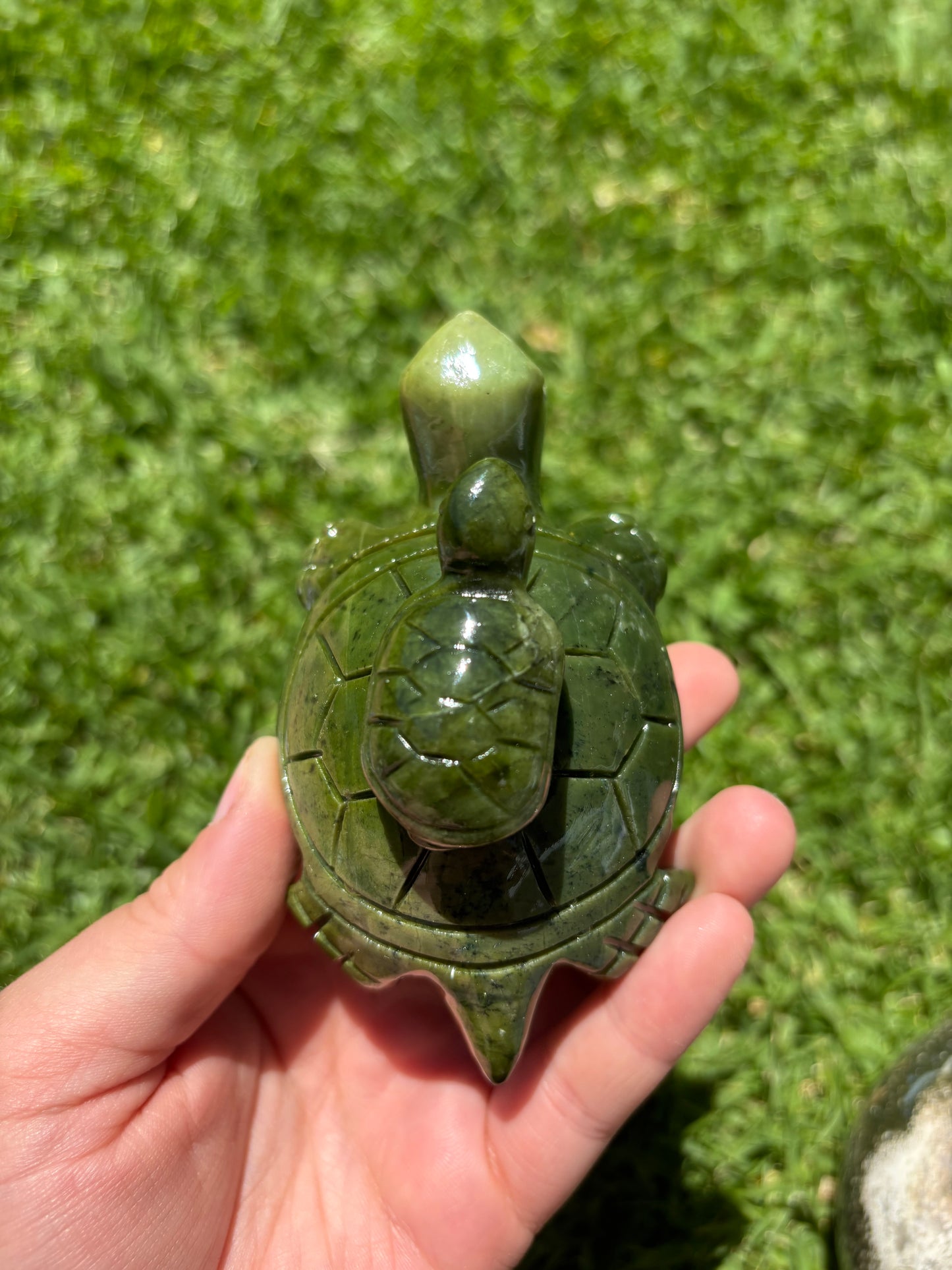 Serpentine Mama And Baby Turtle Carving