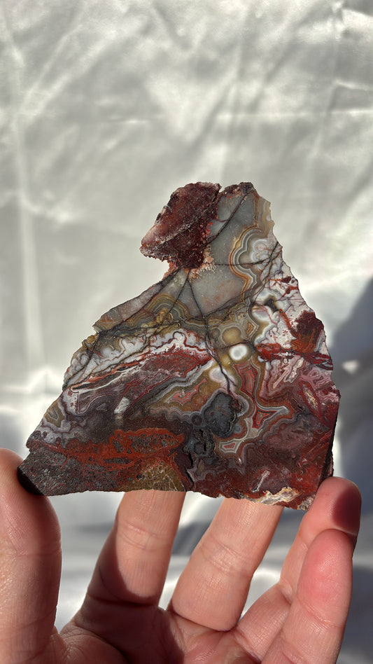 Mexican Crazy Lace Agate Slice
