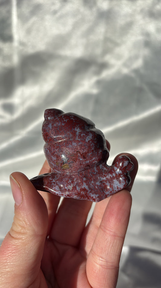 Ocean Jasper Snail