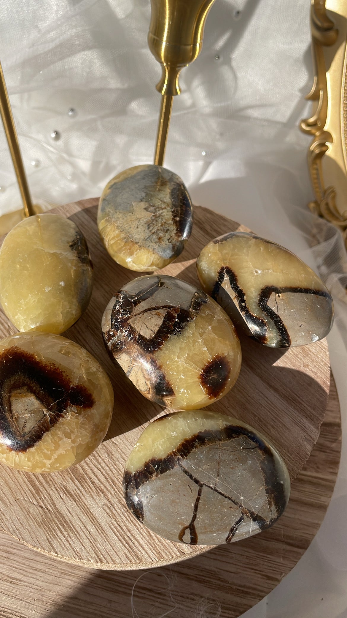 Septarian Palmstones