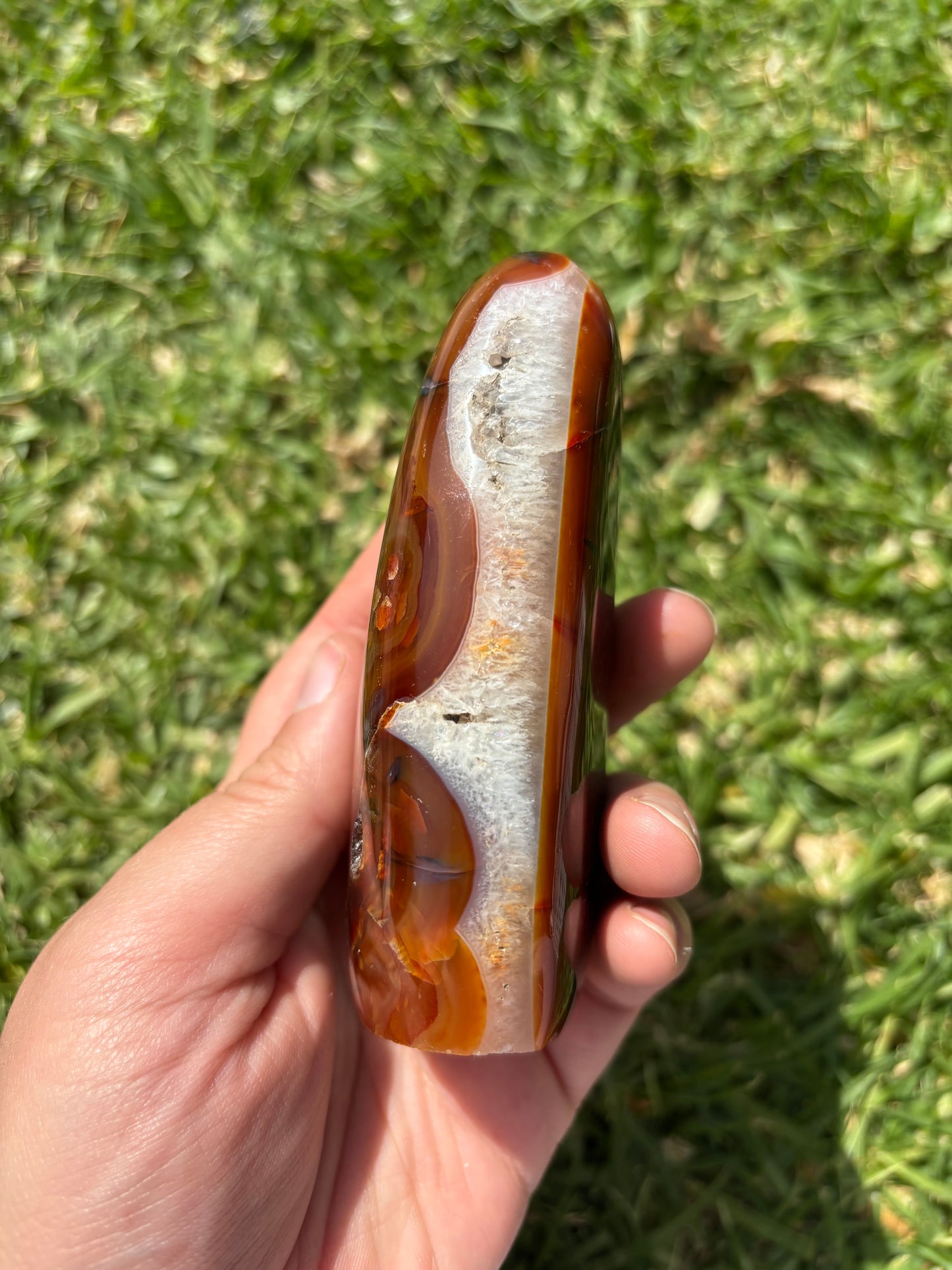 Carnelian Freeform