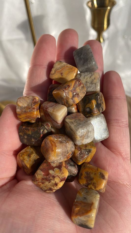 Crazy Lace Agate Mini Cubes