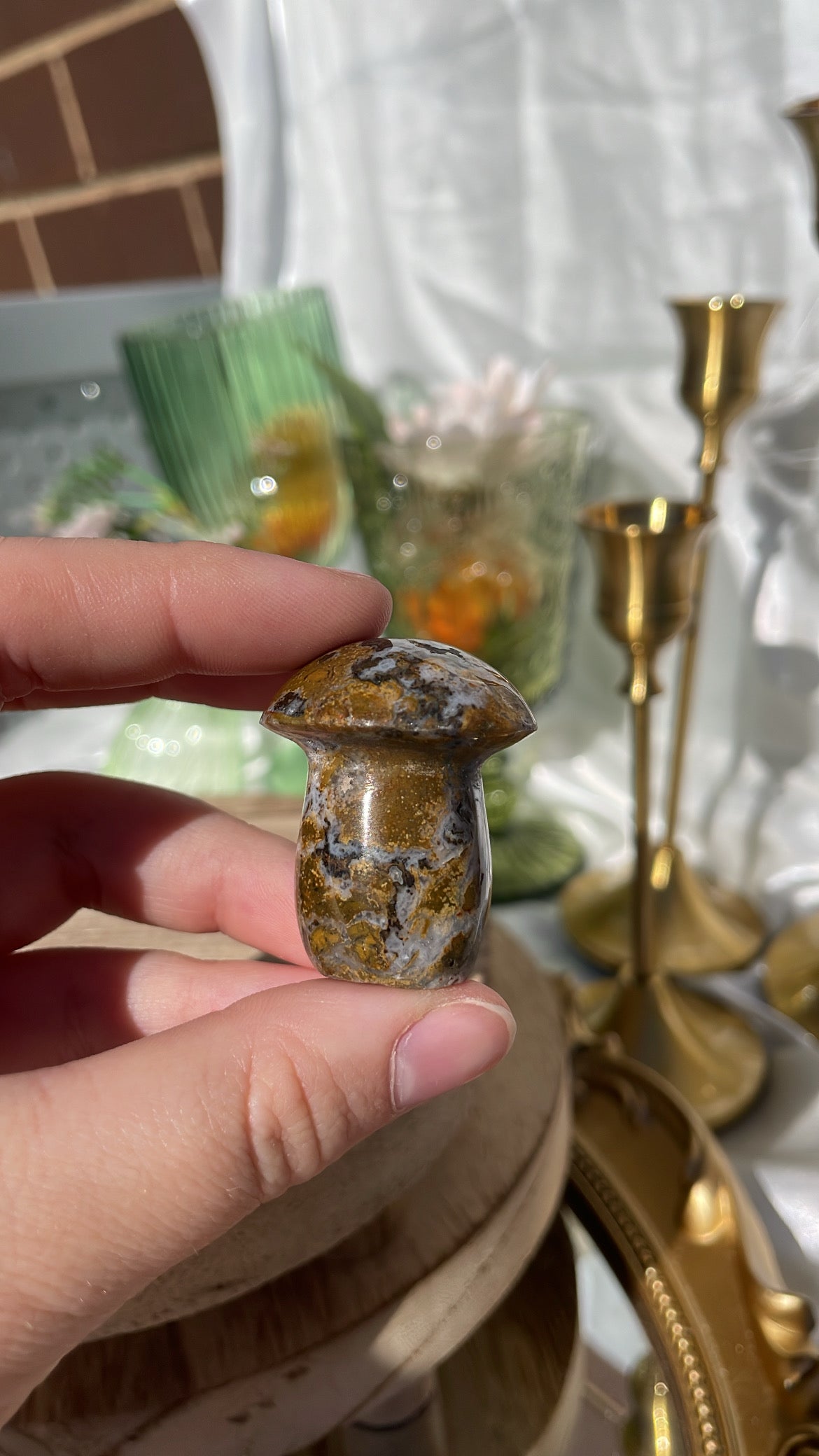 Ocean Jasper Mushroom