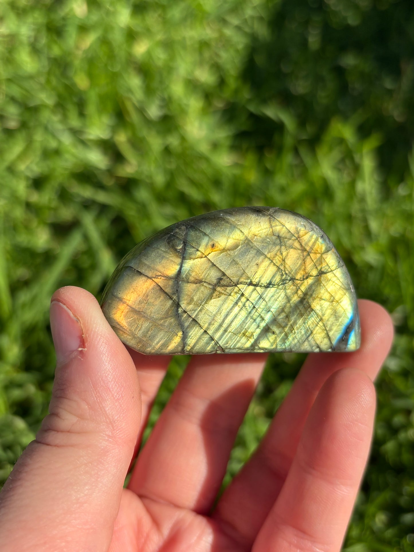 Yellow/Green Labradorite Freeform