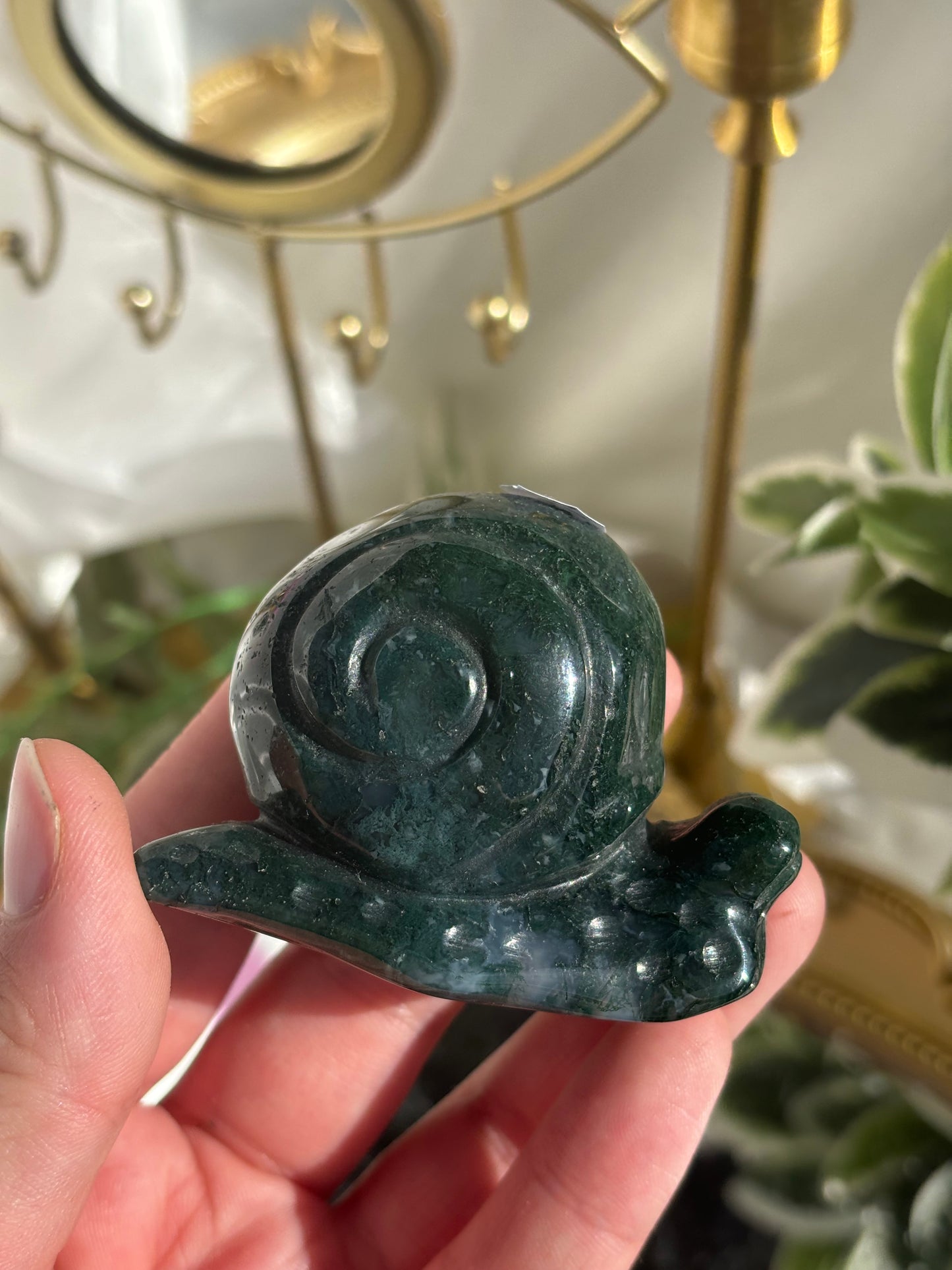 Moss Agate Snail