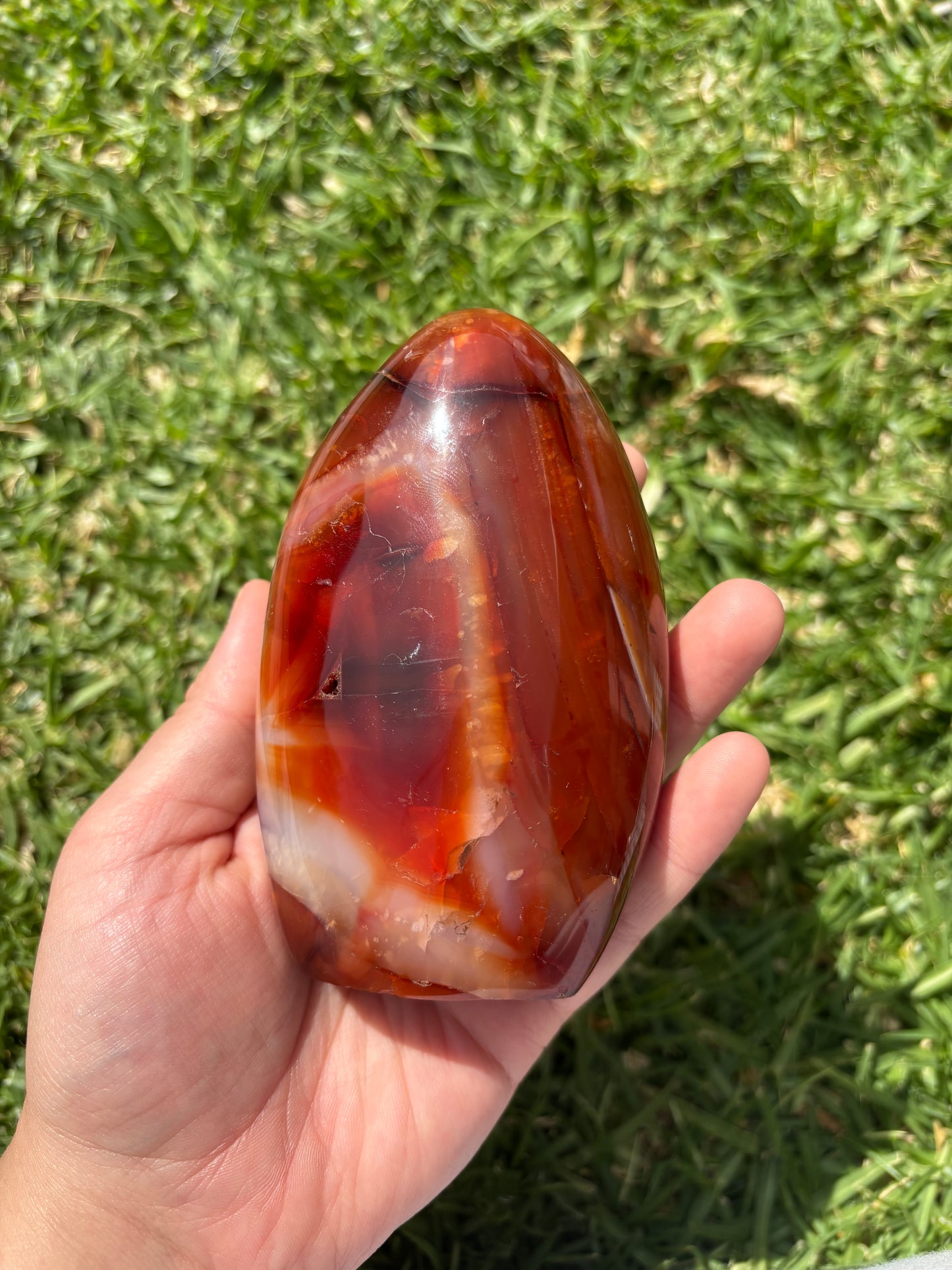 Carnelian Freeform