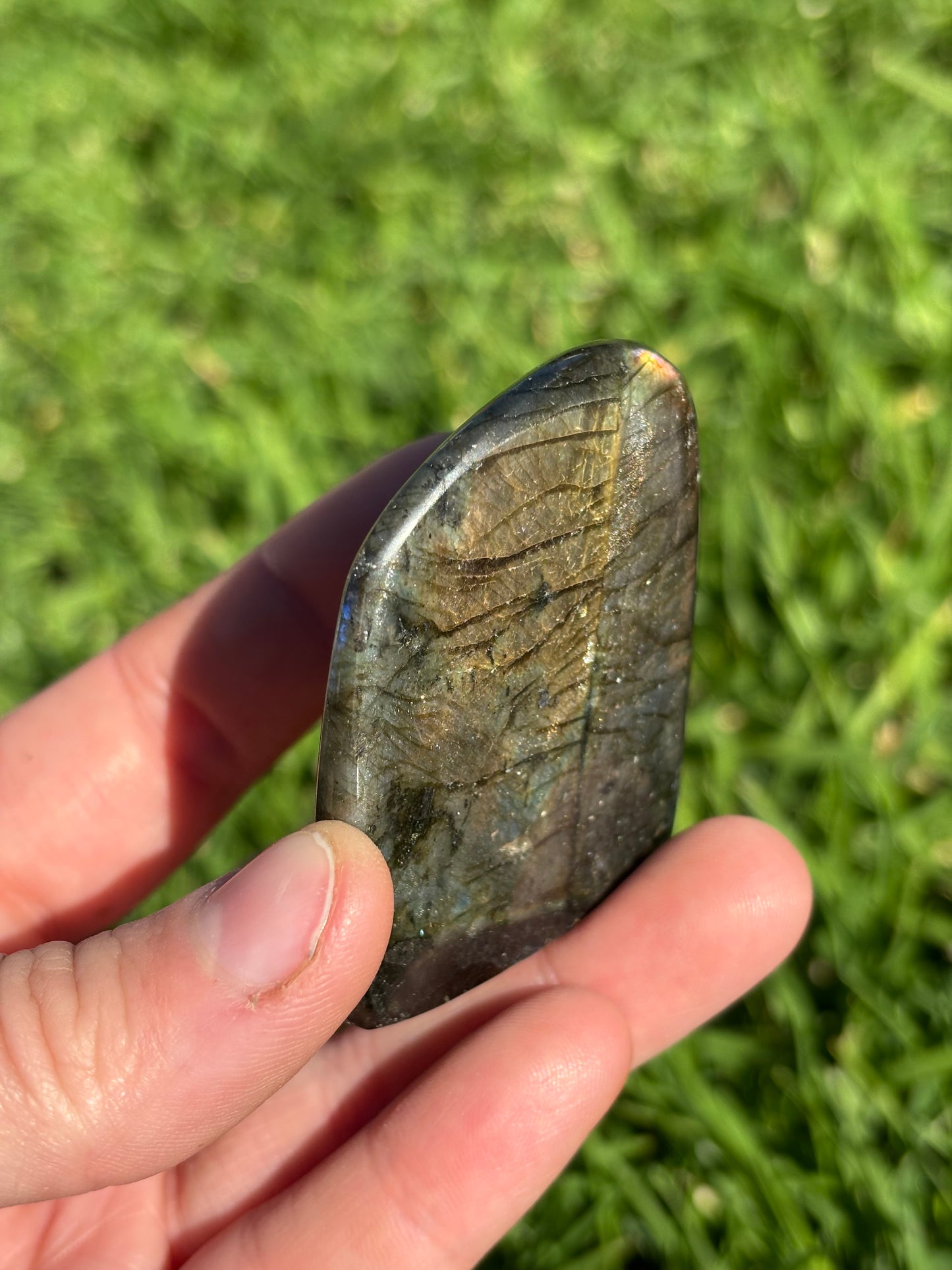 Spectrolite Labradorite Freeform