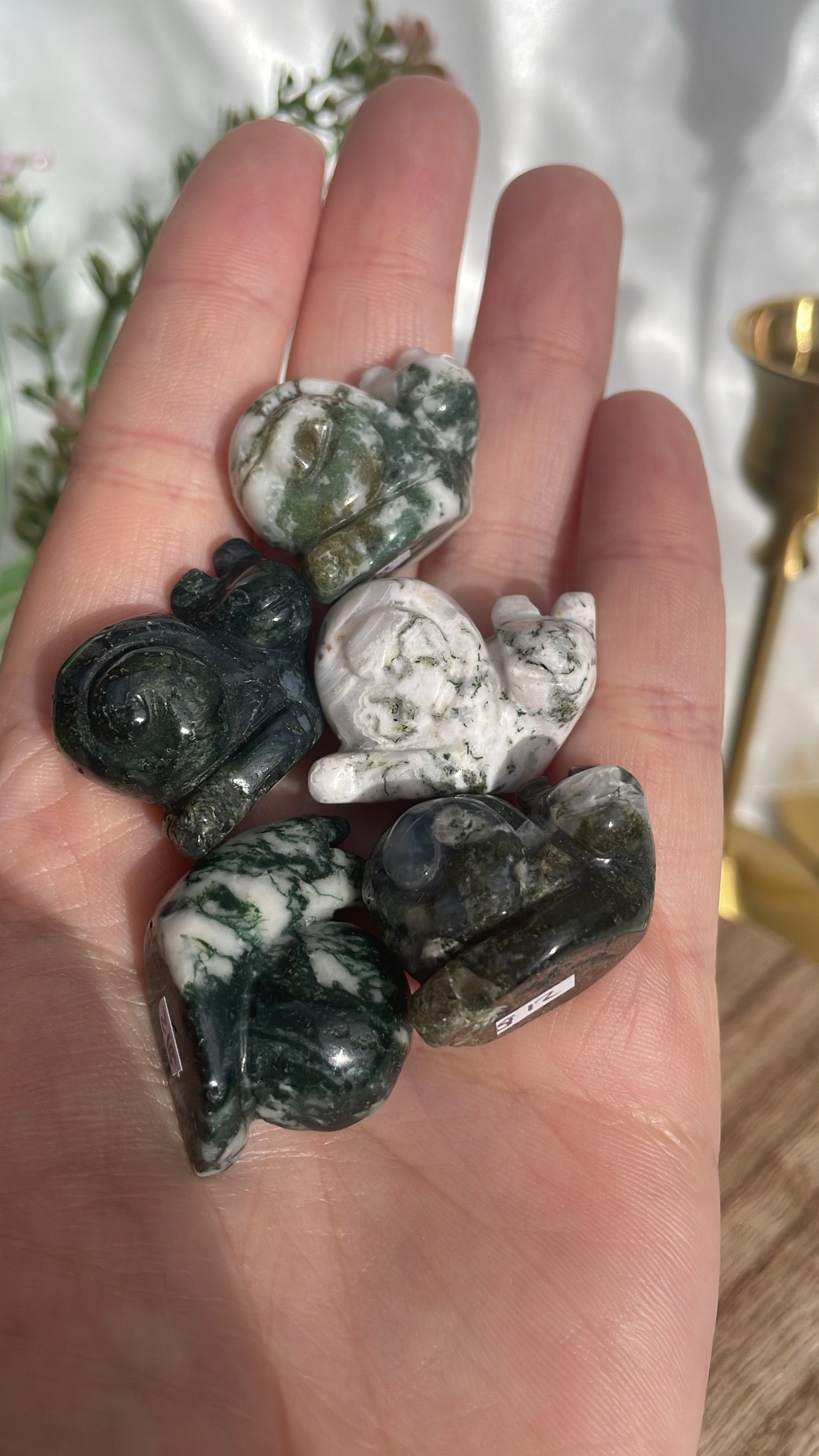 Moss Agate Snails