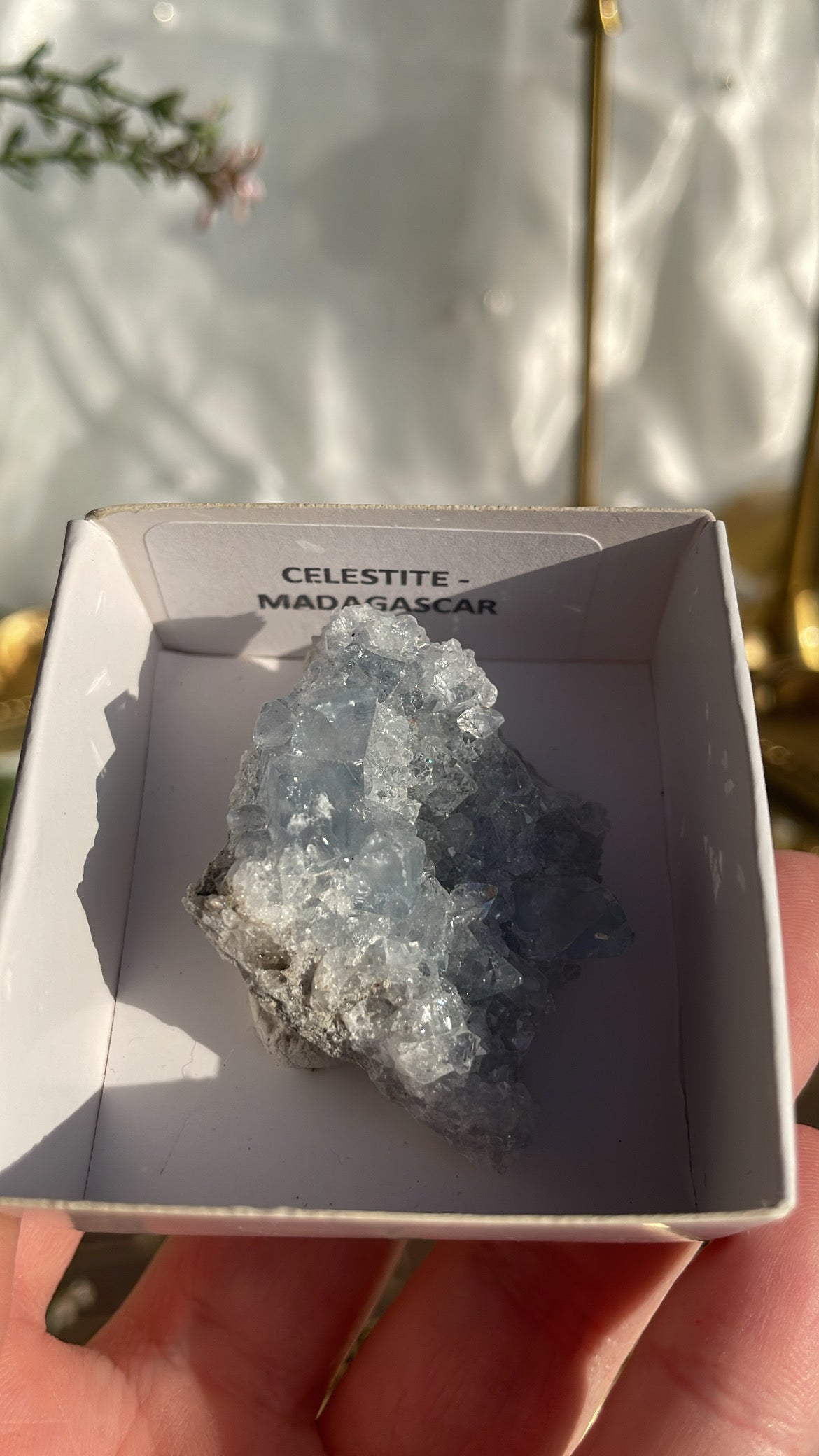 Celestite Cluster